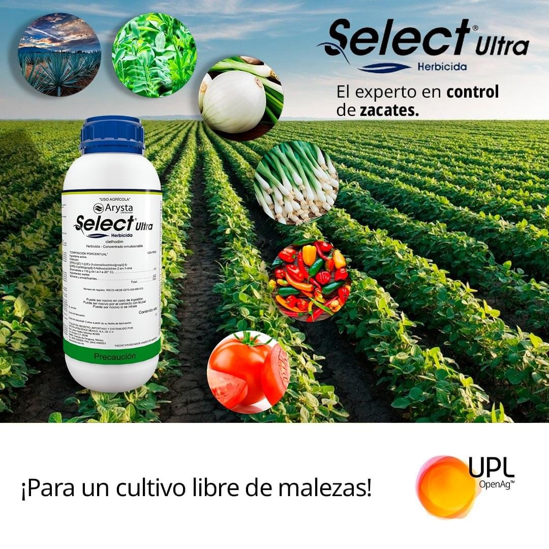 Dueto es un insecticida que... - MAS Agroquímicos y Semillas | Facebook