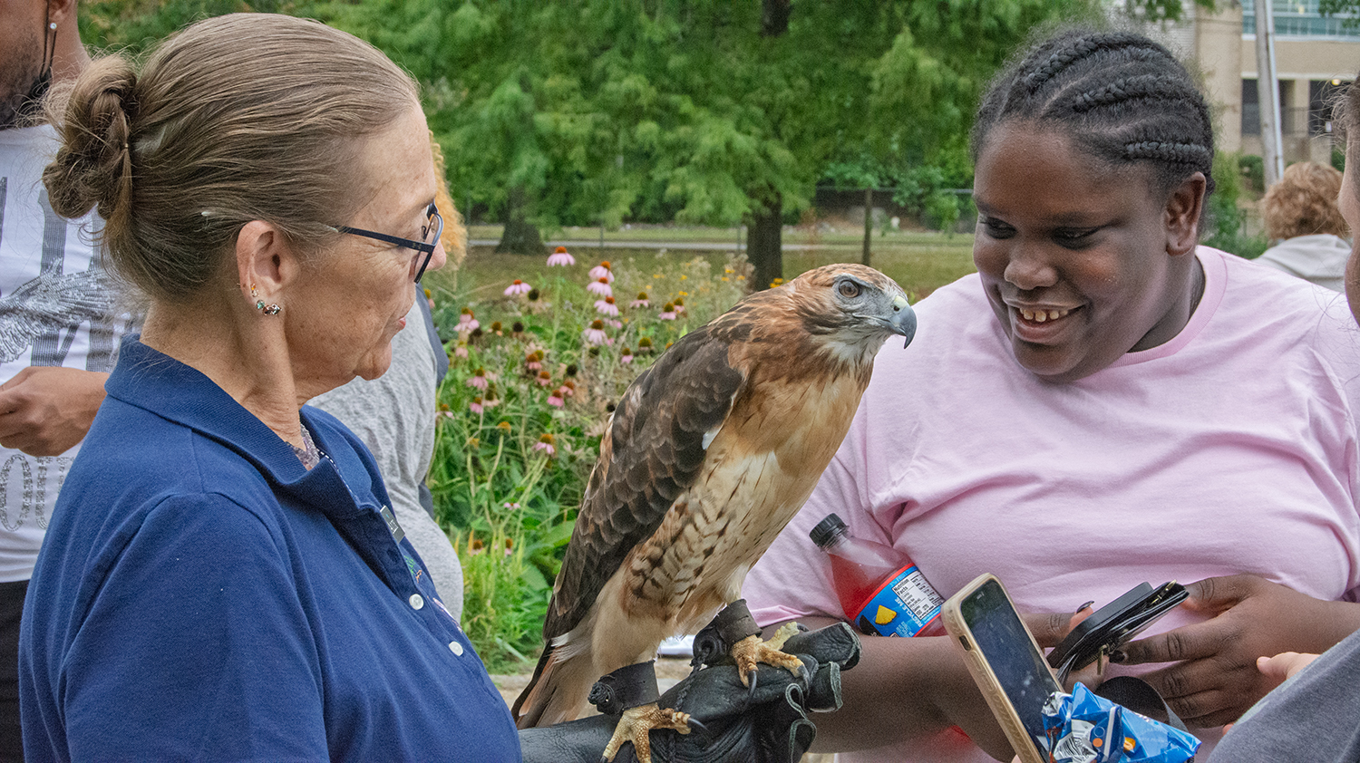 HappiNest Raptor Rescue | Signal Mountain TN