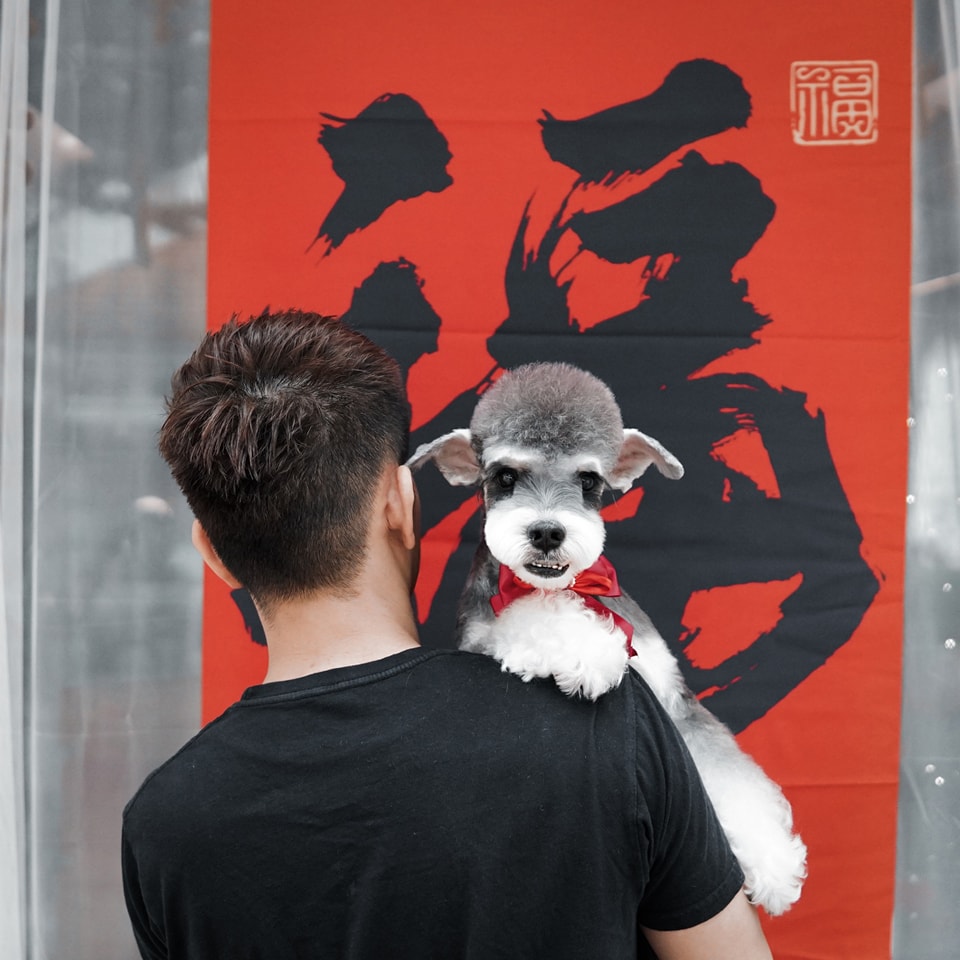The Fox Butler Pet Lifestyle Store | Bayan Lepas