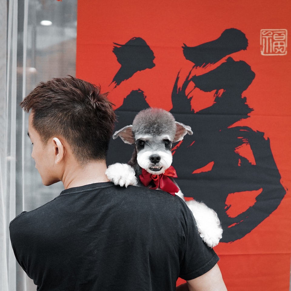The Fox Butler Pet Lifestyle Store | Bayan Lepas
