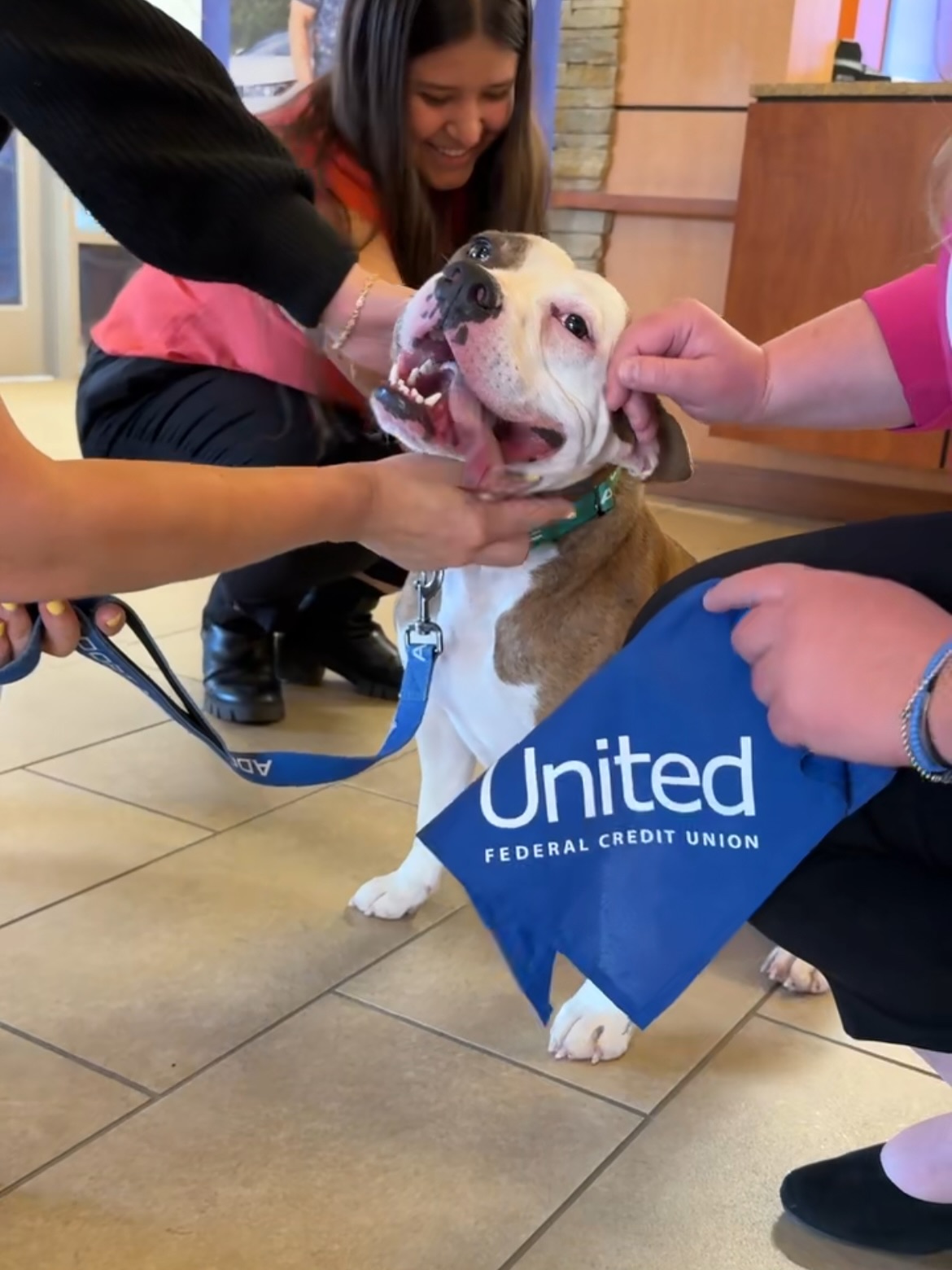 Nevada Humane Society - Big things happen when communities come ...
