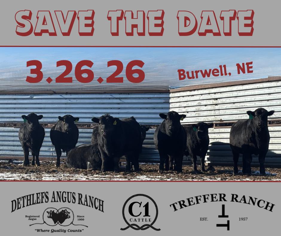 Treffer Ranch - Mark your calendars! 📅🔥 Our bull sale is... | Facebook