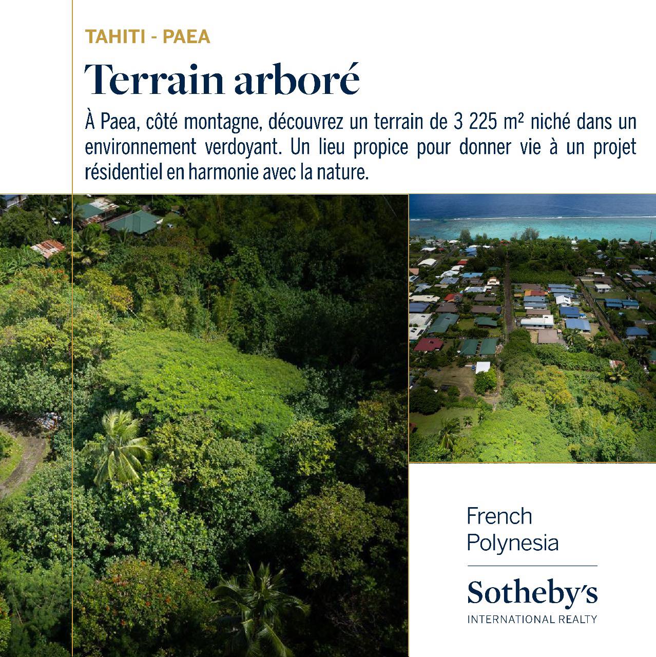 French - 🍃 Nouveau - Exclusivité FPSIR - Tahiti - Paea - Terrain arboré ...