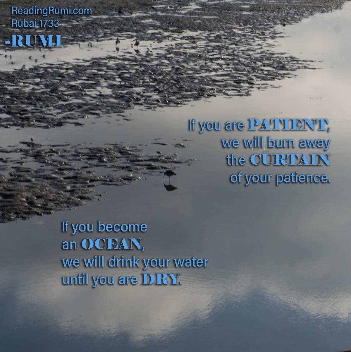 Reading - Go to our website (ReadingRumi) to receive an Ergin ...