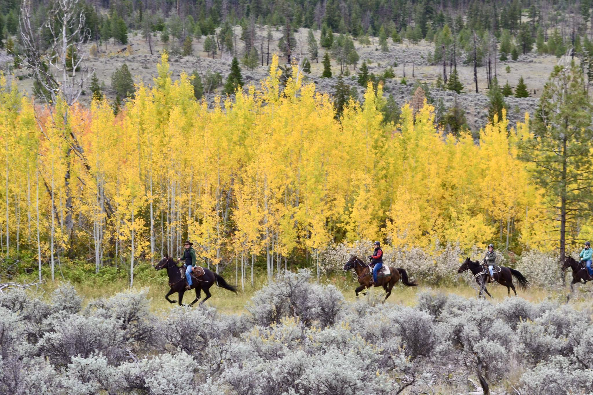 Sundance Guest Ranch | Ashcroft BC