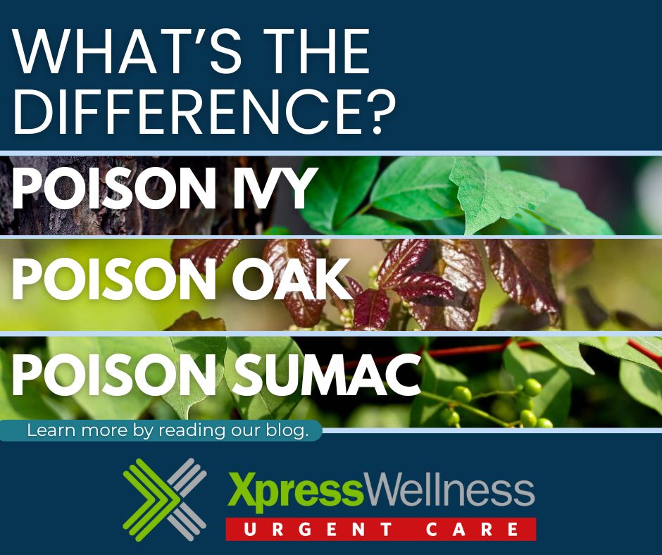 Xpress - Can You Tell Them Apart? 🌿 Poison Ivy, Poison Oak, and Poison ...