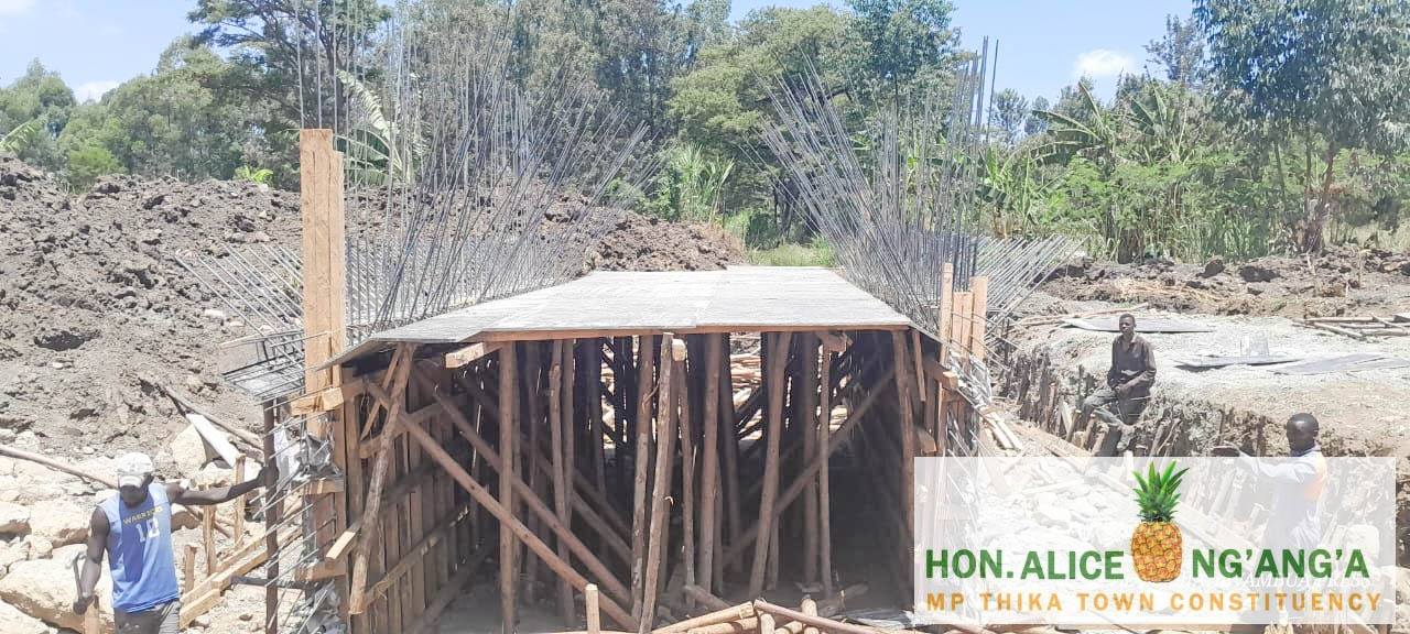 The... - Hon Alice Ng'ang'a - MP Thika Town Constituency | Facebook