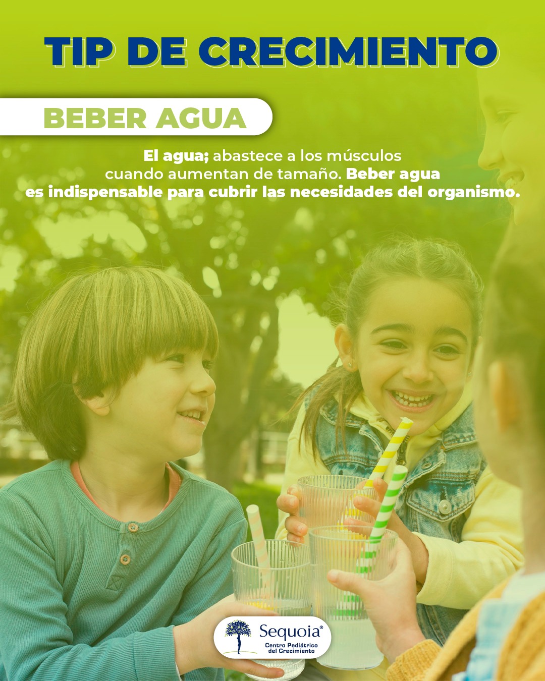 Centro - 💧 El agua es vital para el crecimiento, la energía y la ...