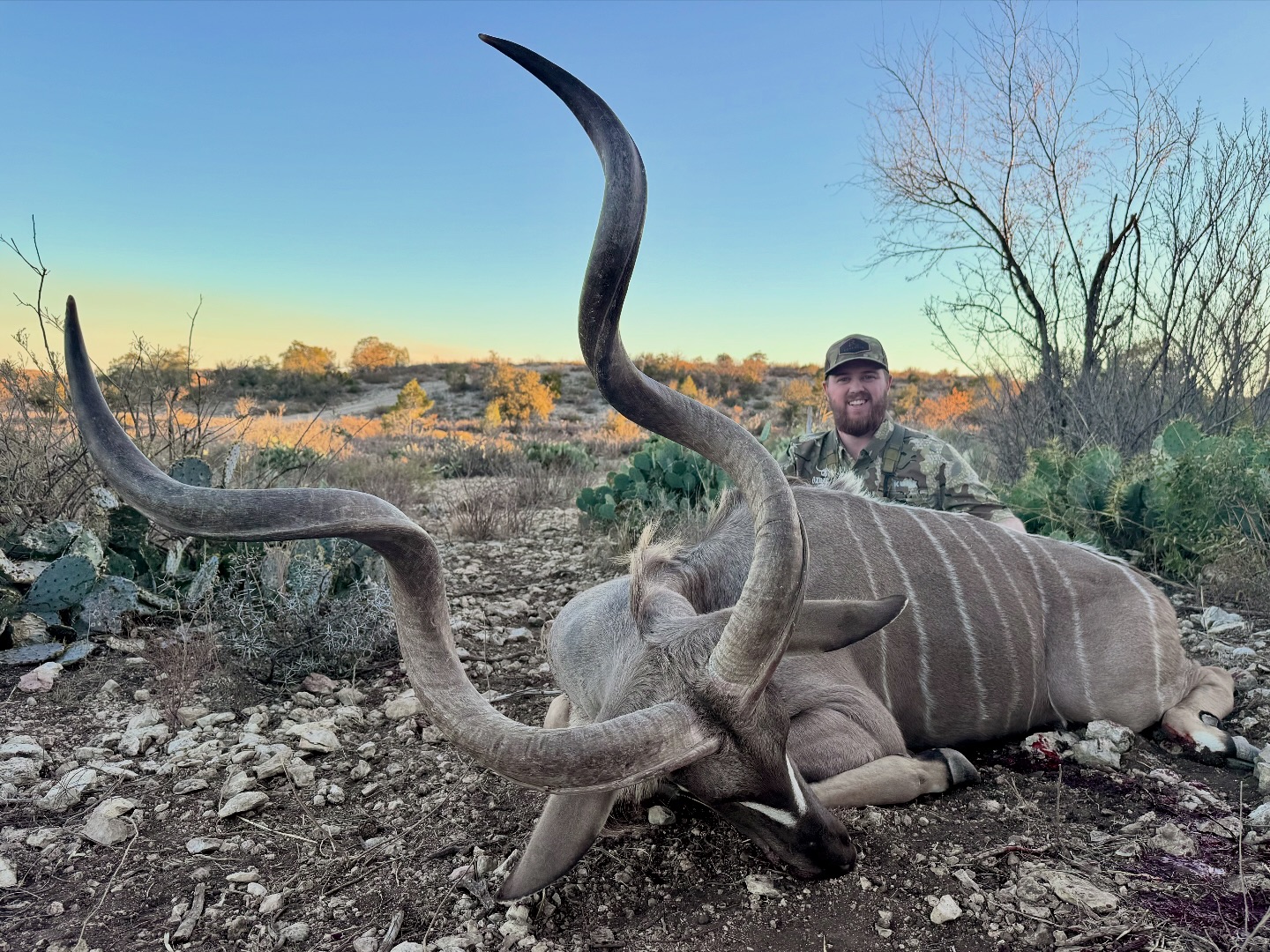 Ox - Andrew had been dreaming of a big Kudu for a long time, so after ...