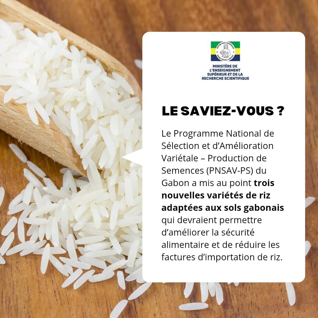 LE SAVIEZ-VOUS ? | RECHERCHE SCIENTIFIQUE 🇬🇦🌾 Le Gabon franchit une ...