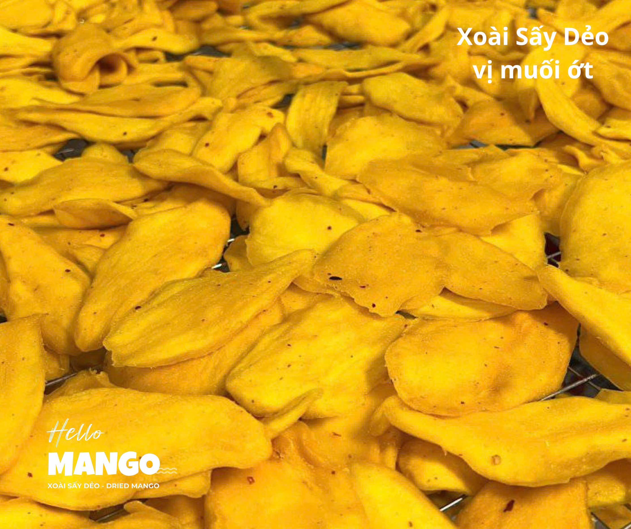 HELLO MANGO | Nha Trang