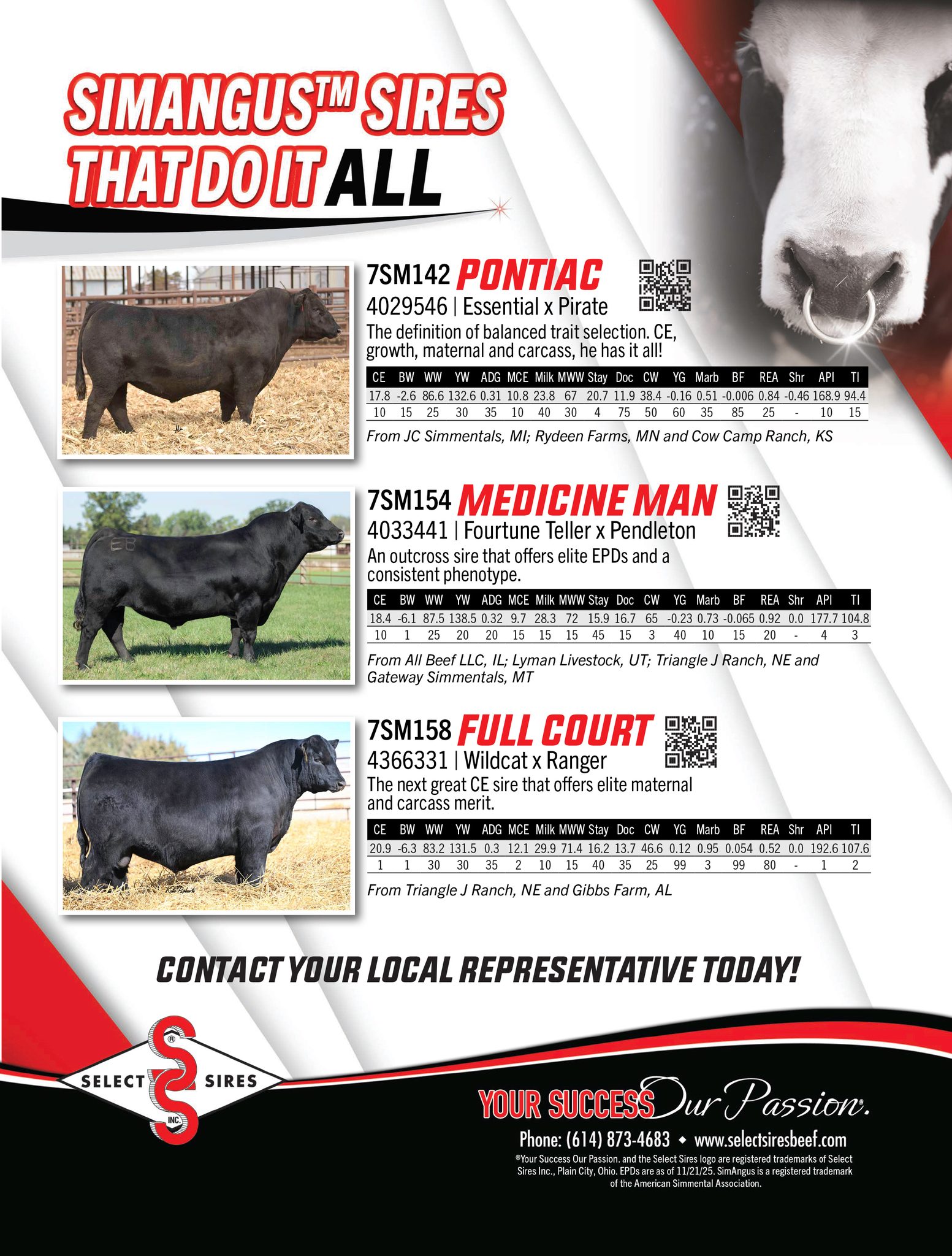 View the SimAngus Sires ... - Select Sires Beef | Facebook