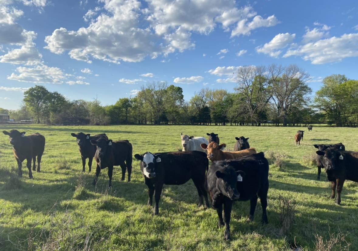 Callison Ranch