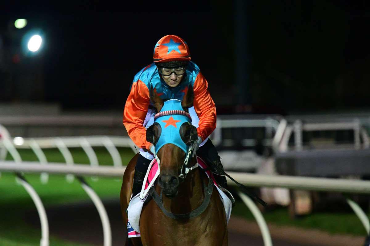 Sears Racing | Toowoomba City QLD