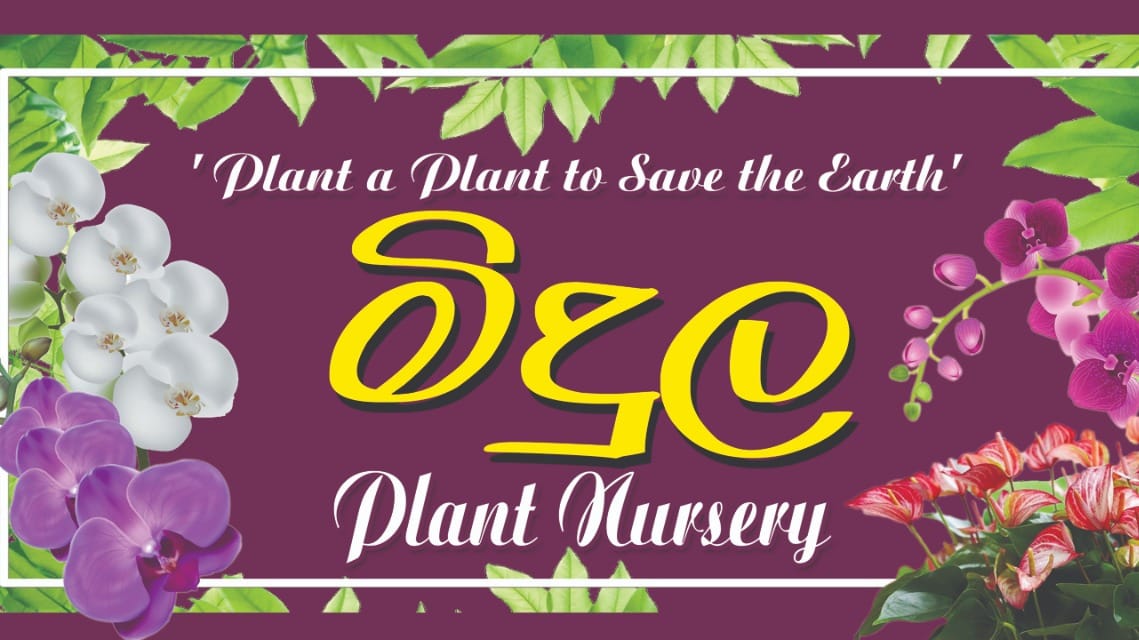Midula Plant Nursery - මිදුල | Walasmulla