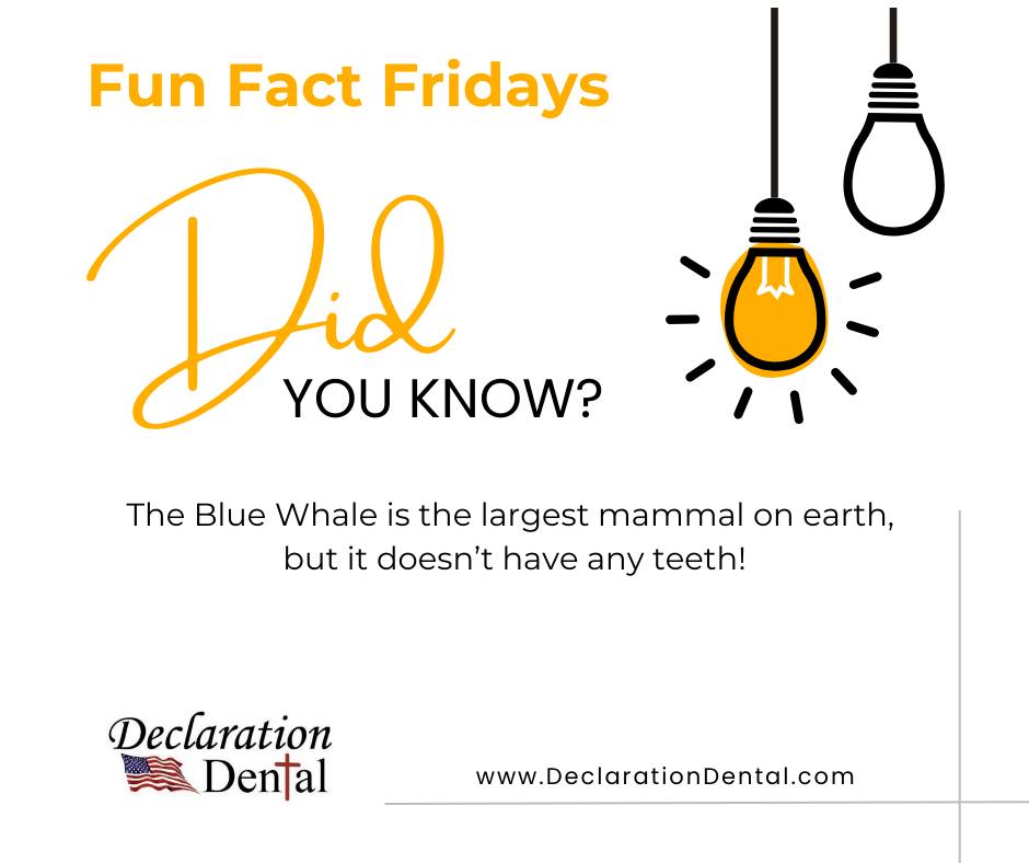 🌊🐋 Monticello, IN – Did You Know? 🦷... - Declaration Dental | Facebook