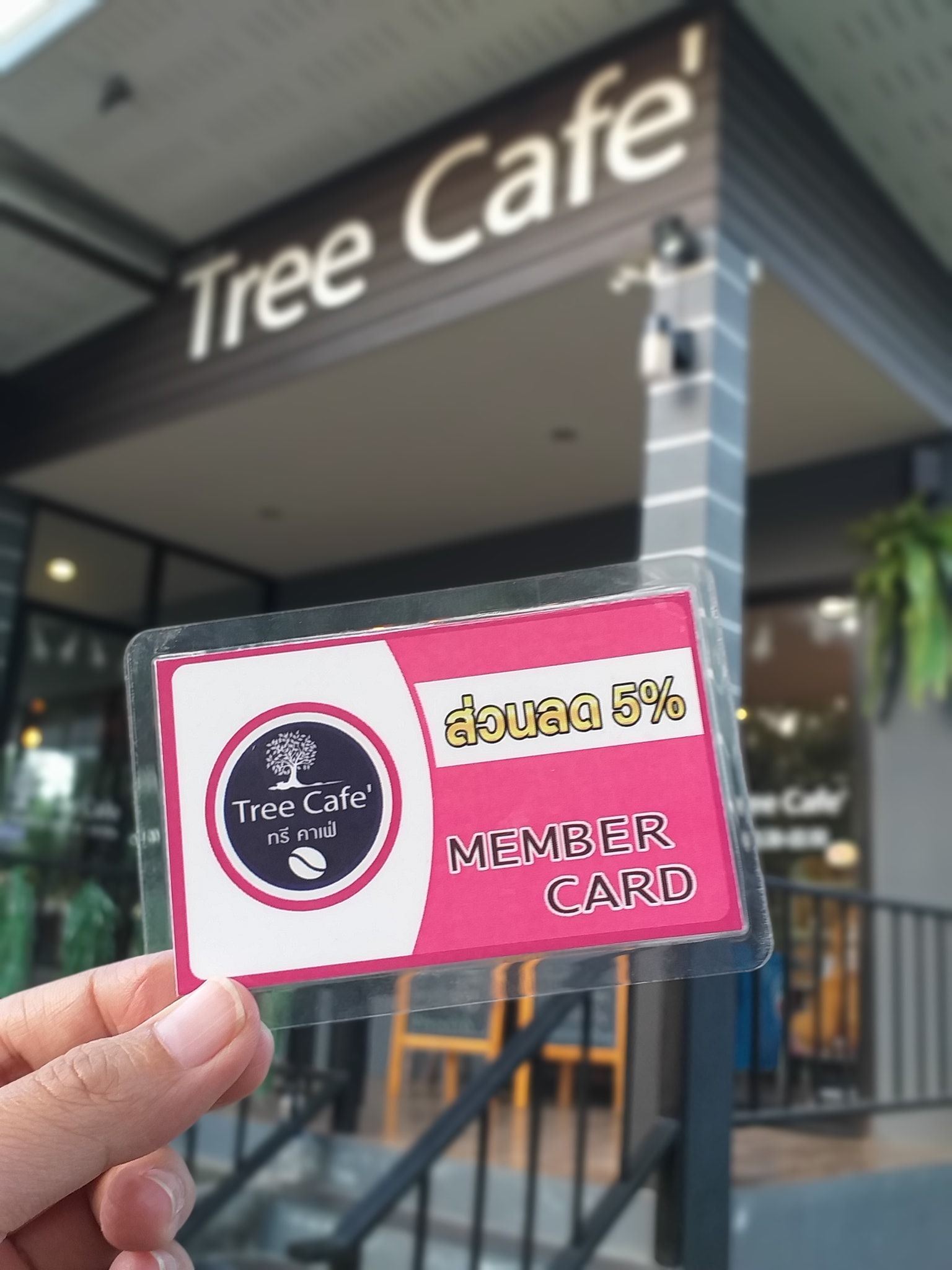 📣📣มาแล้วค่ะ บัตรสมาชิกแจกฟรี!!... - Tree Cafe' at Tha Thong | Facebook