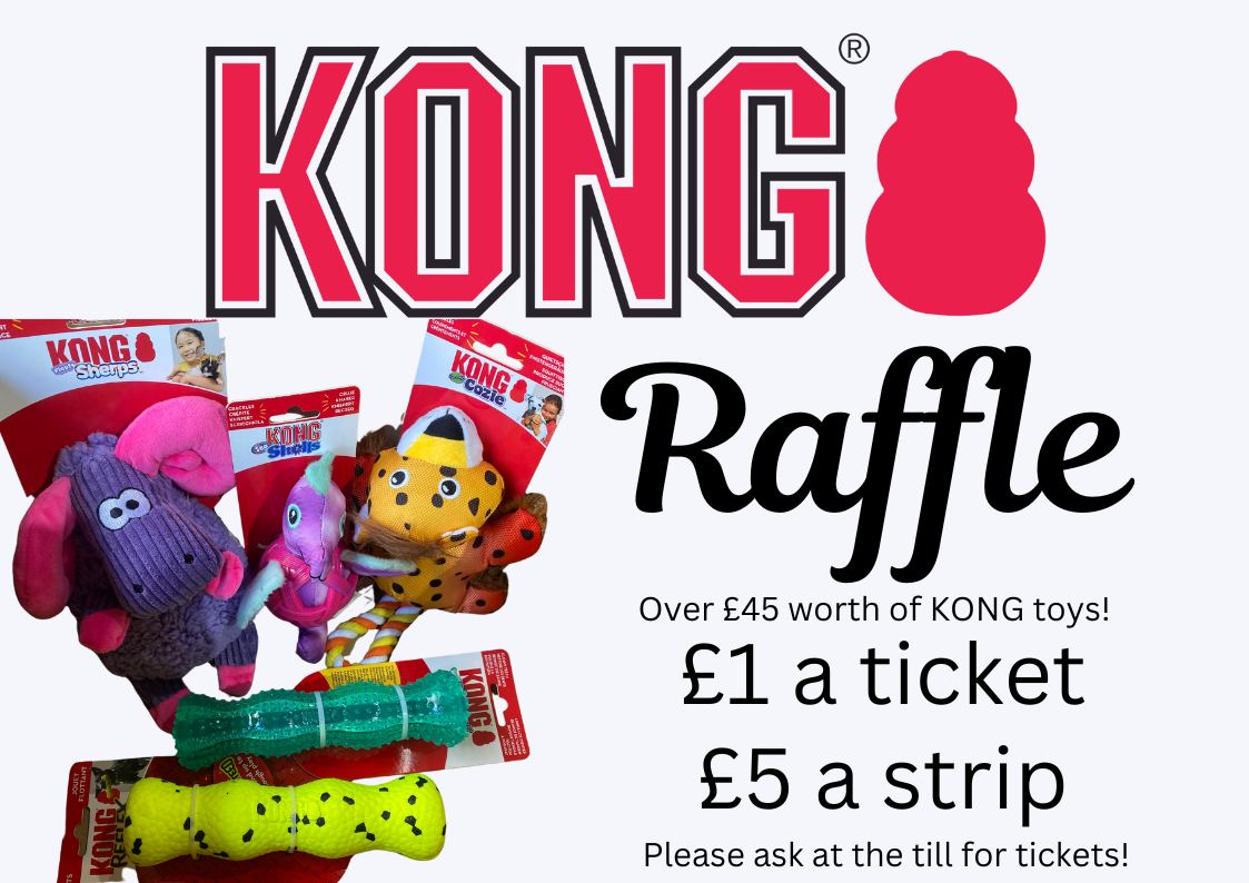 Jack - 🎉 KONG WEEKEND RAFFLE ALERT! 🎉 Kong Weekend is HERE, and we're ...