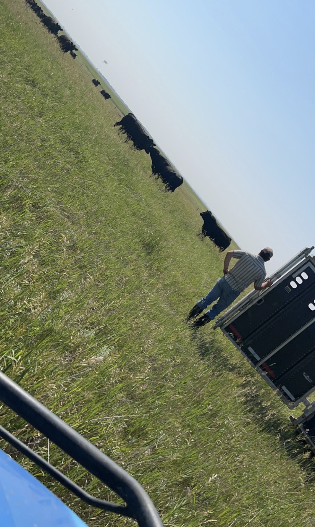 Burgod Ranch Simmental | Ipswich SD