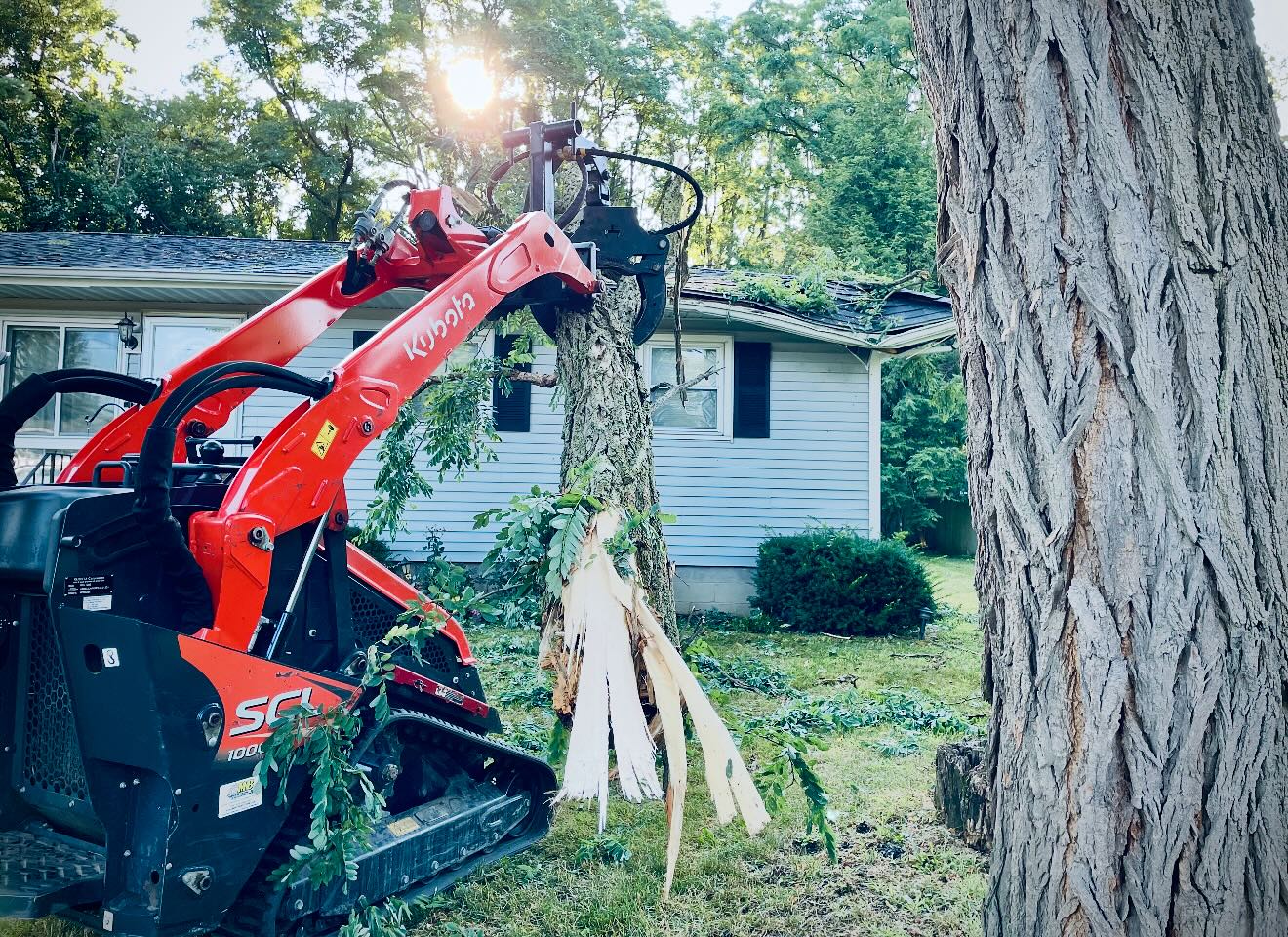 On a Limb Tree Care | Slingerlands NY
