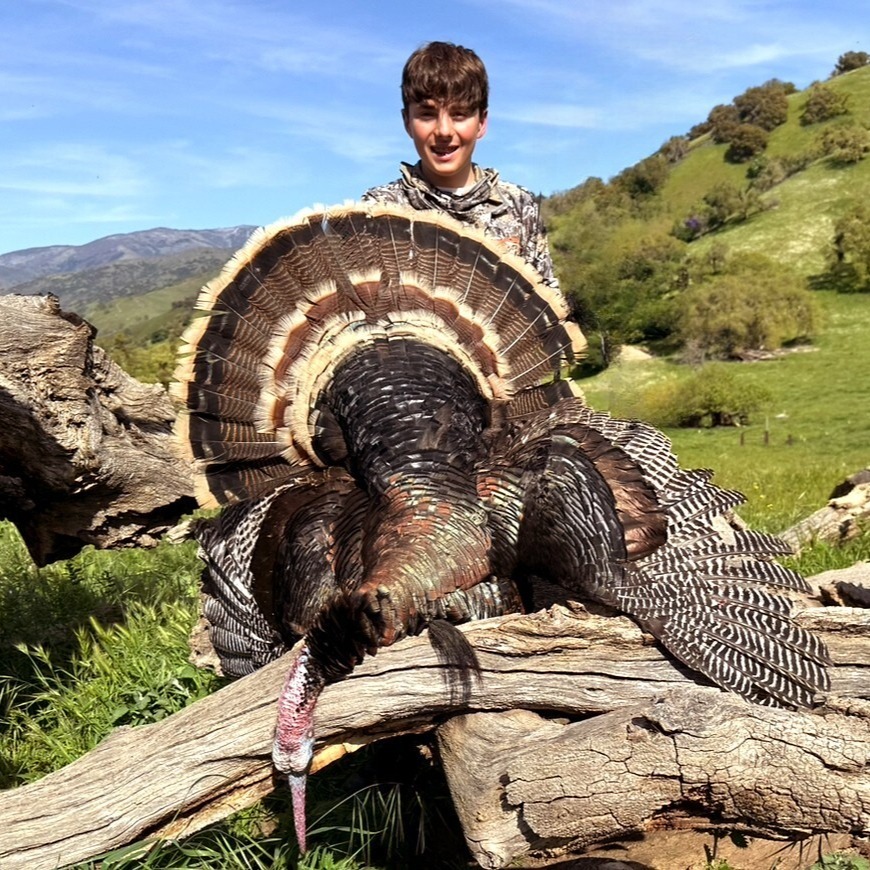 Huntin' - Congratulations to Michael Devitt on his California Merriam's ...