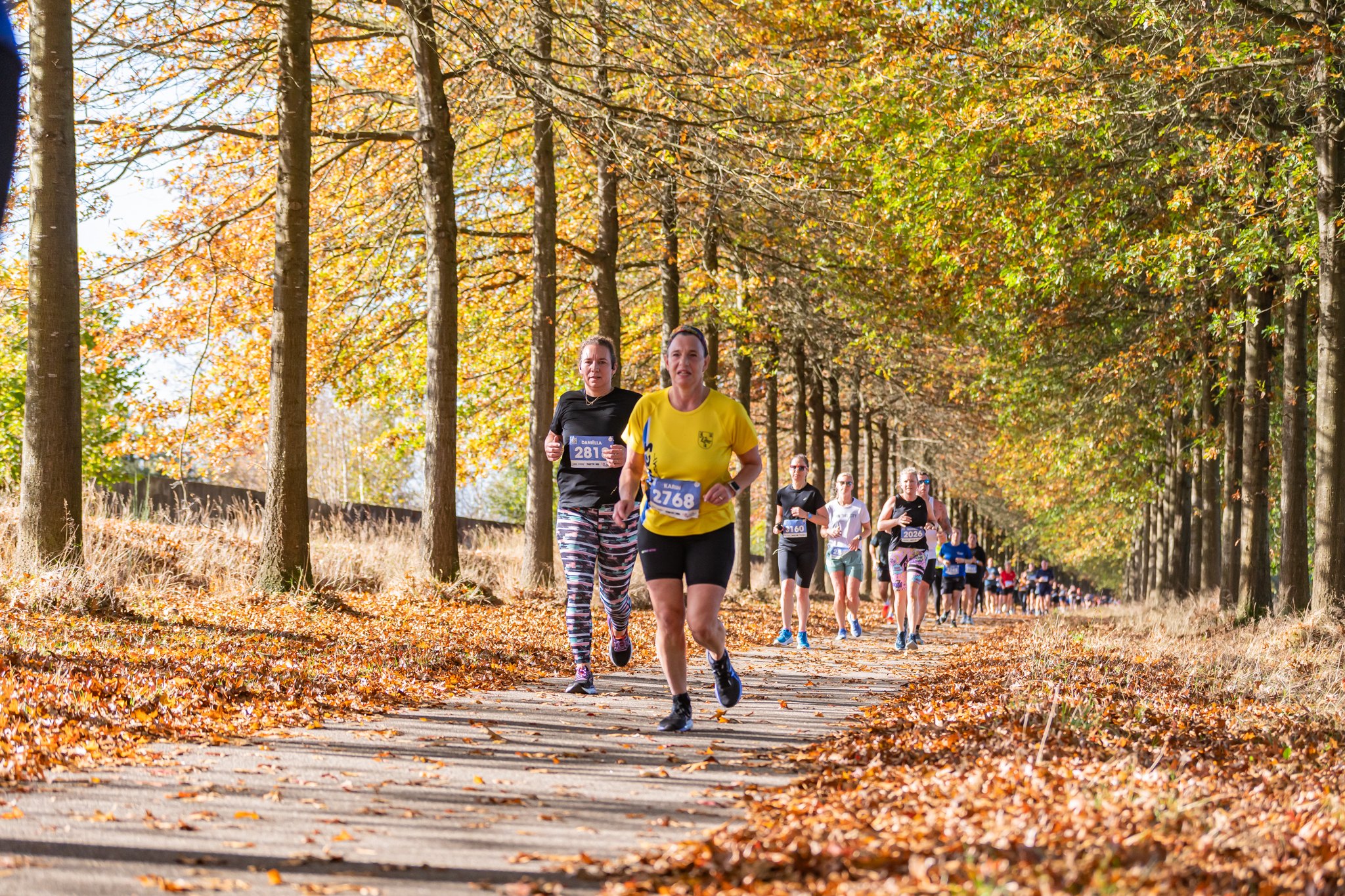Pavado - Alle foto's van de marathon Van Oers Marathon Brabant staan ...