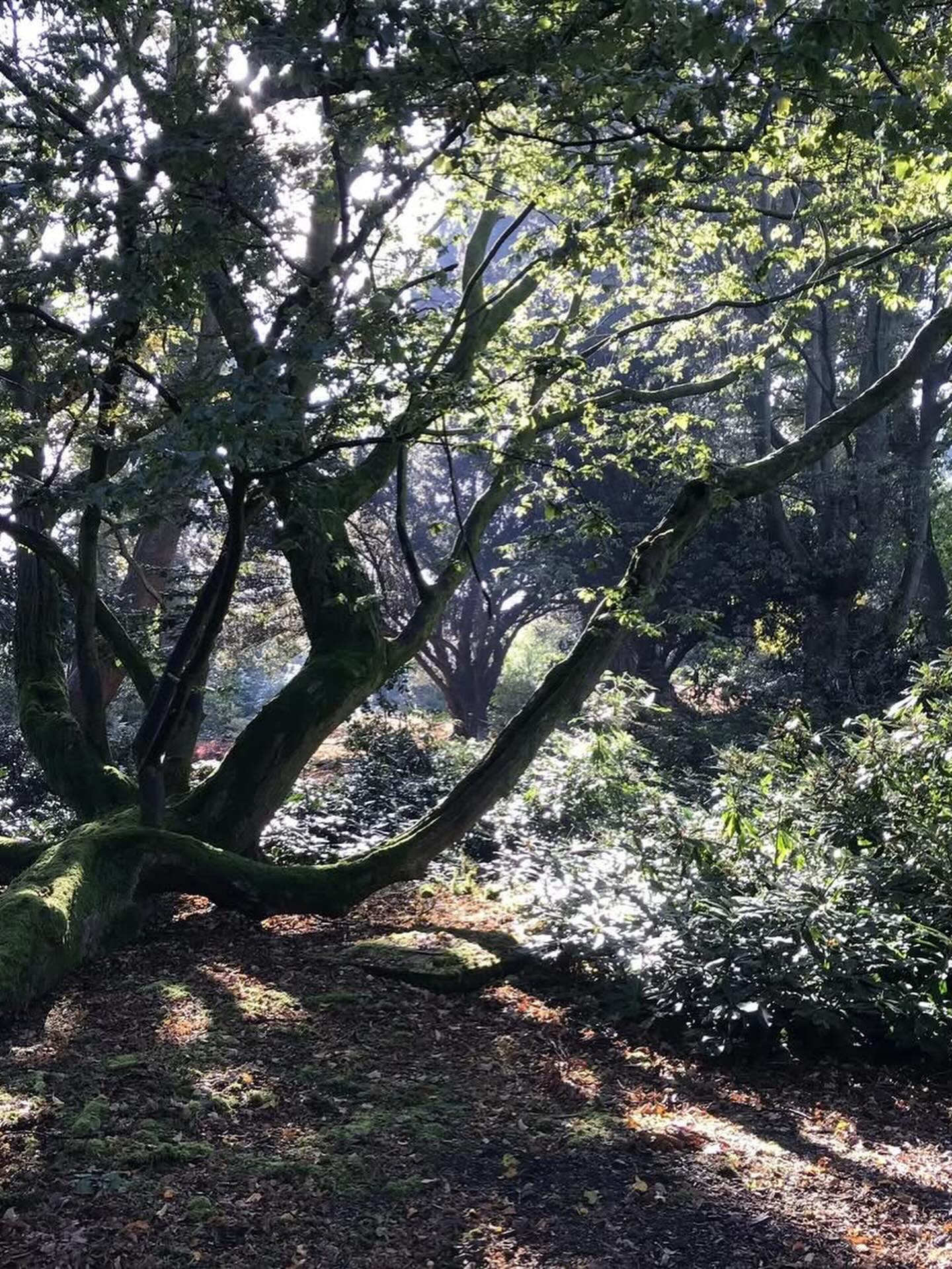 The Gardens at Eyton Hall