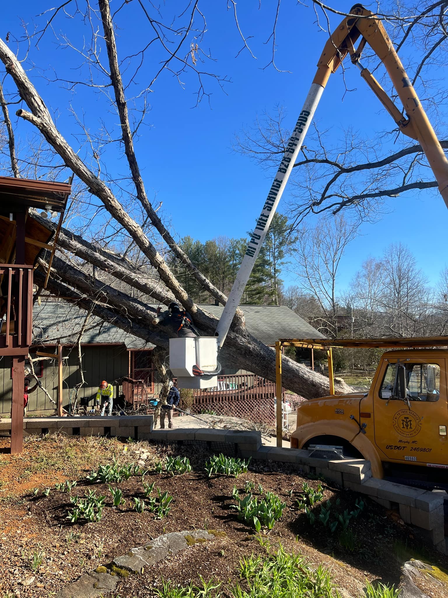 Mi Po Tree Service | Murphy NC