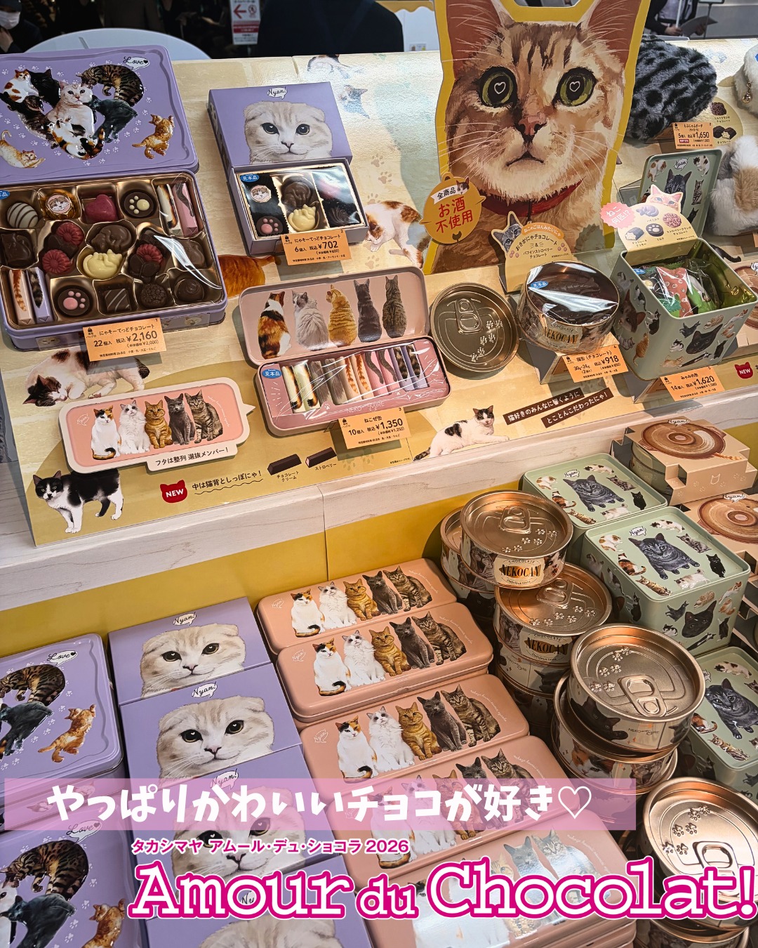 タカシマヤ アムール・デュ・ショコラ2026🍫 ～かわいいショコラ編