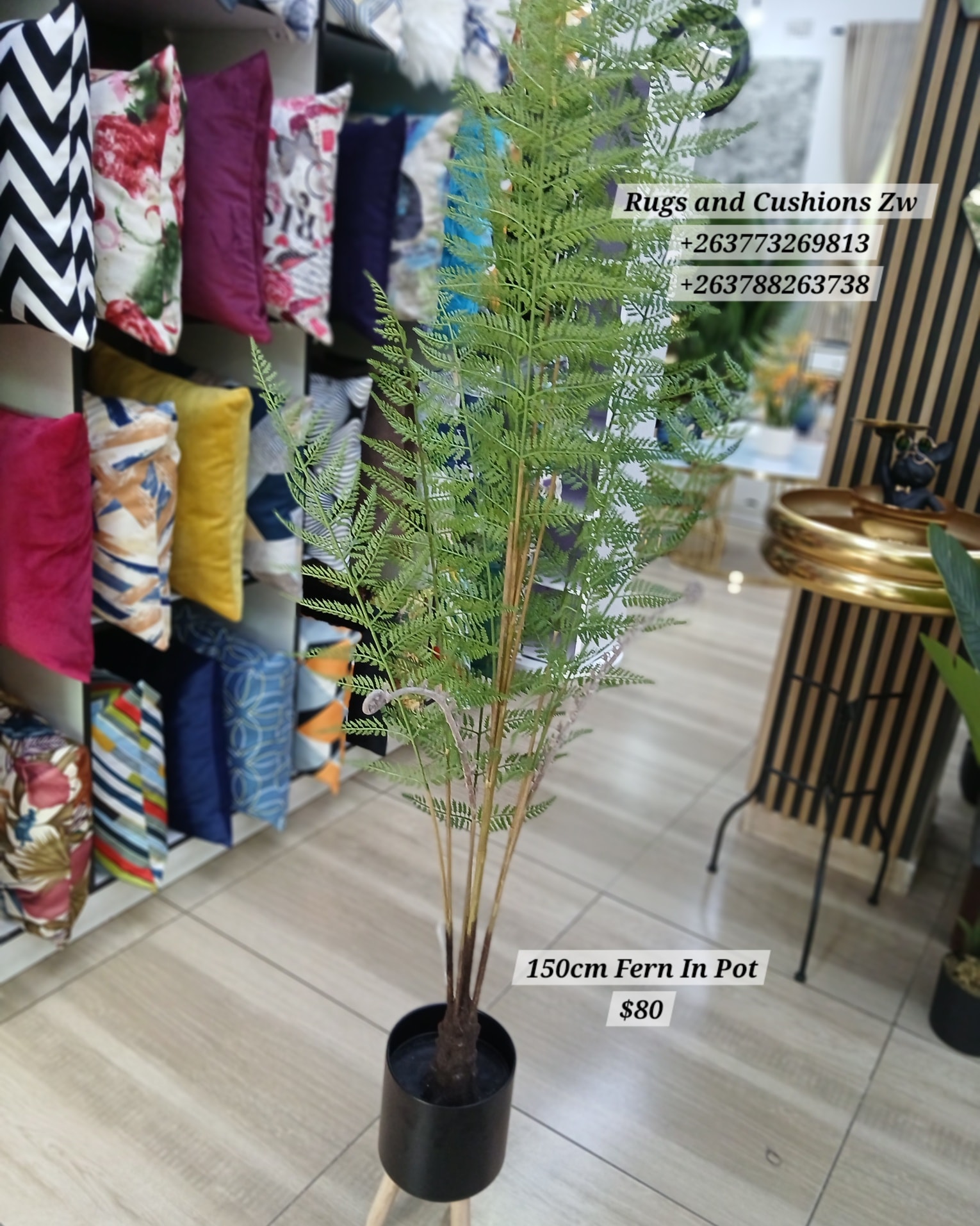 Rugs and Cushions Zimbabwe... - Rugs and Cushions Zimbabwe
