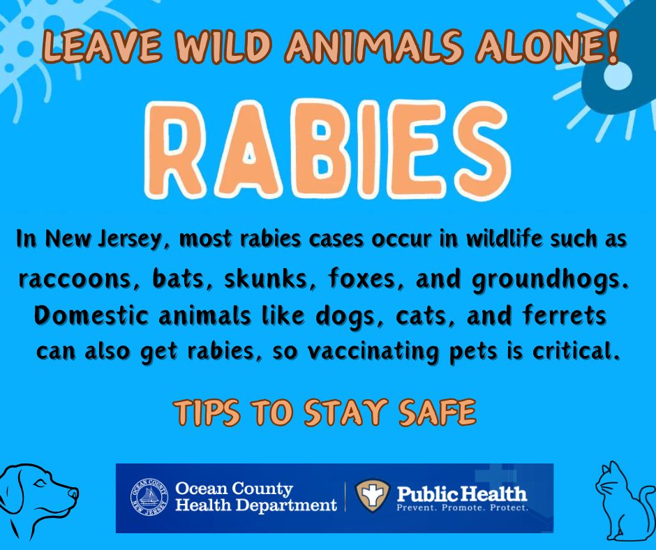 Ocean - September 28, 2025, is World Rabies Day! With a fatality rate ...