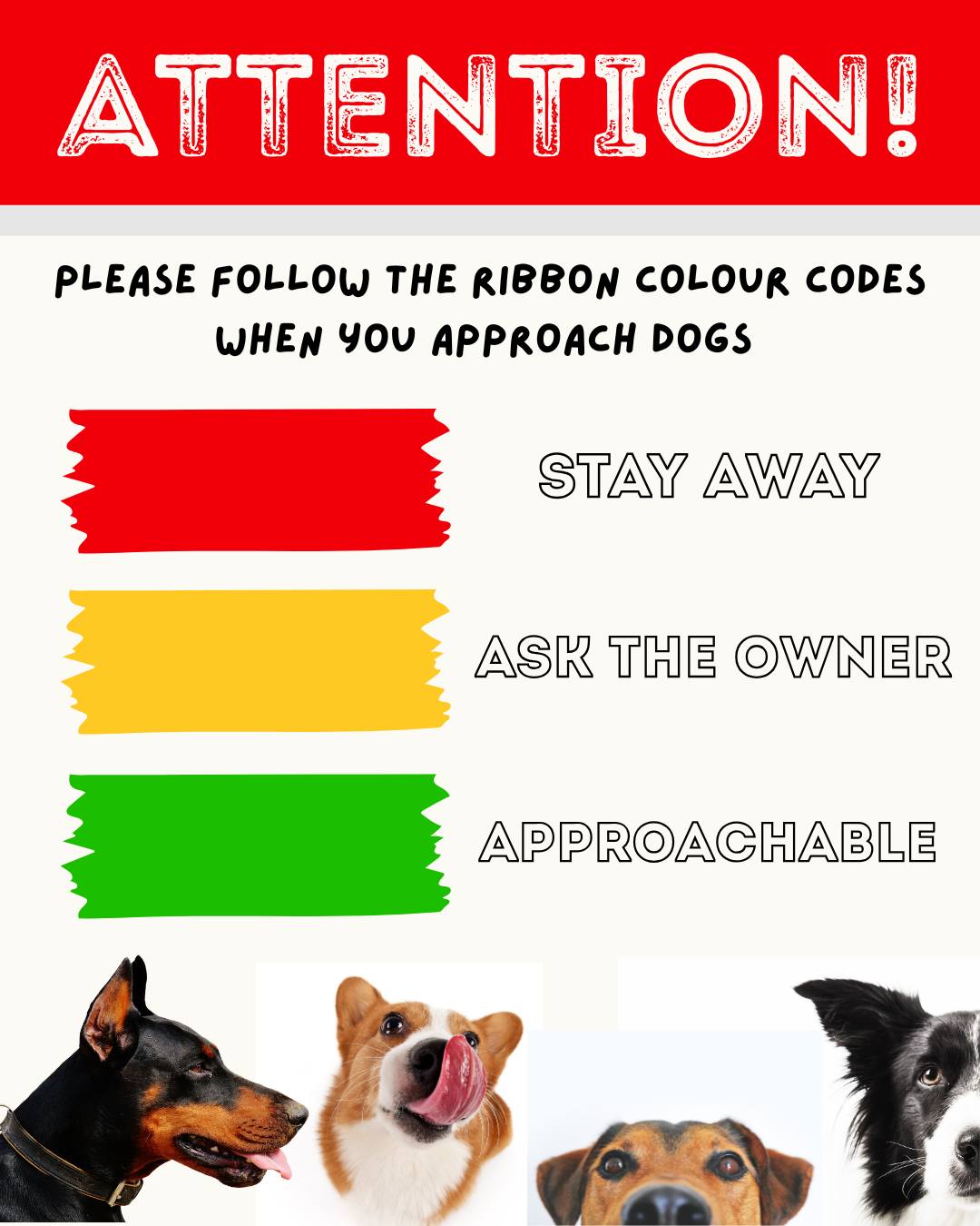🐾 The SPCA Dog Show is Almost Here! 🐾... - Otjiwarongo SPCA | Facebook