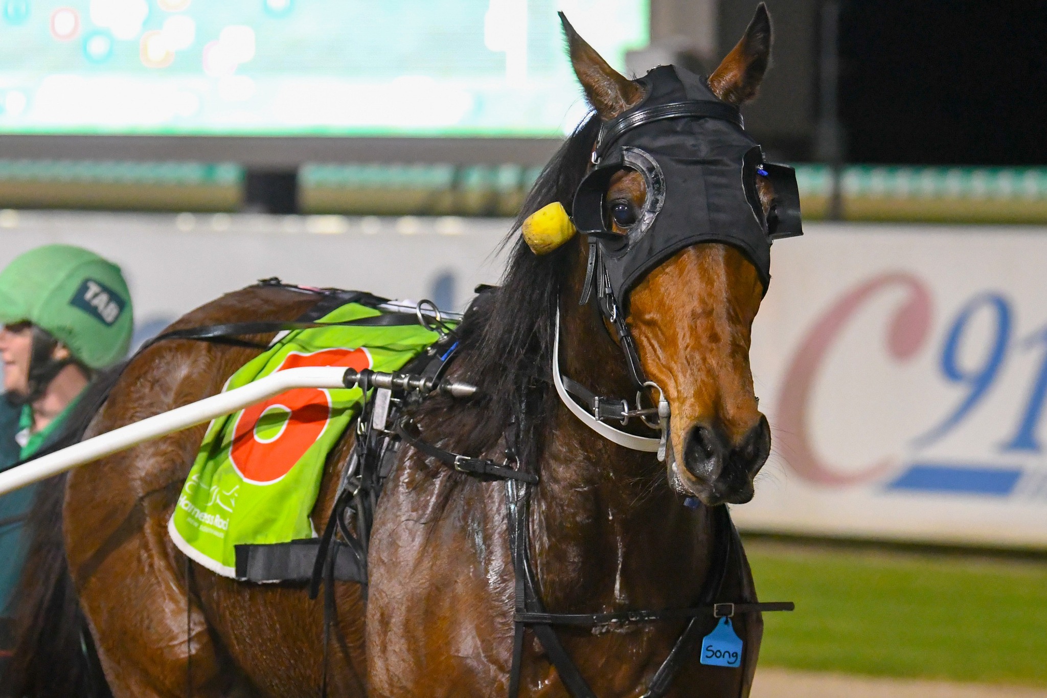 Bathurst Harness Racing... - Bathurst Harness Racing Club