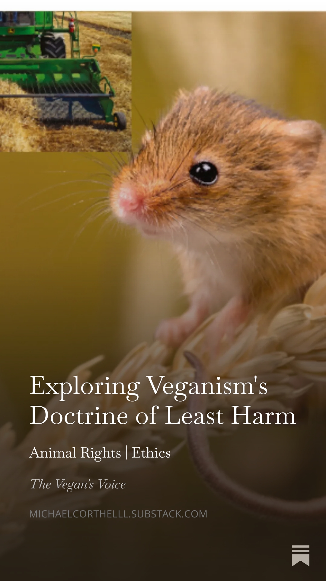 #Veganism is not about purity,... - The Vegan Project | Facebook