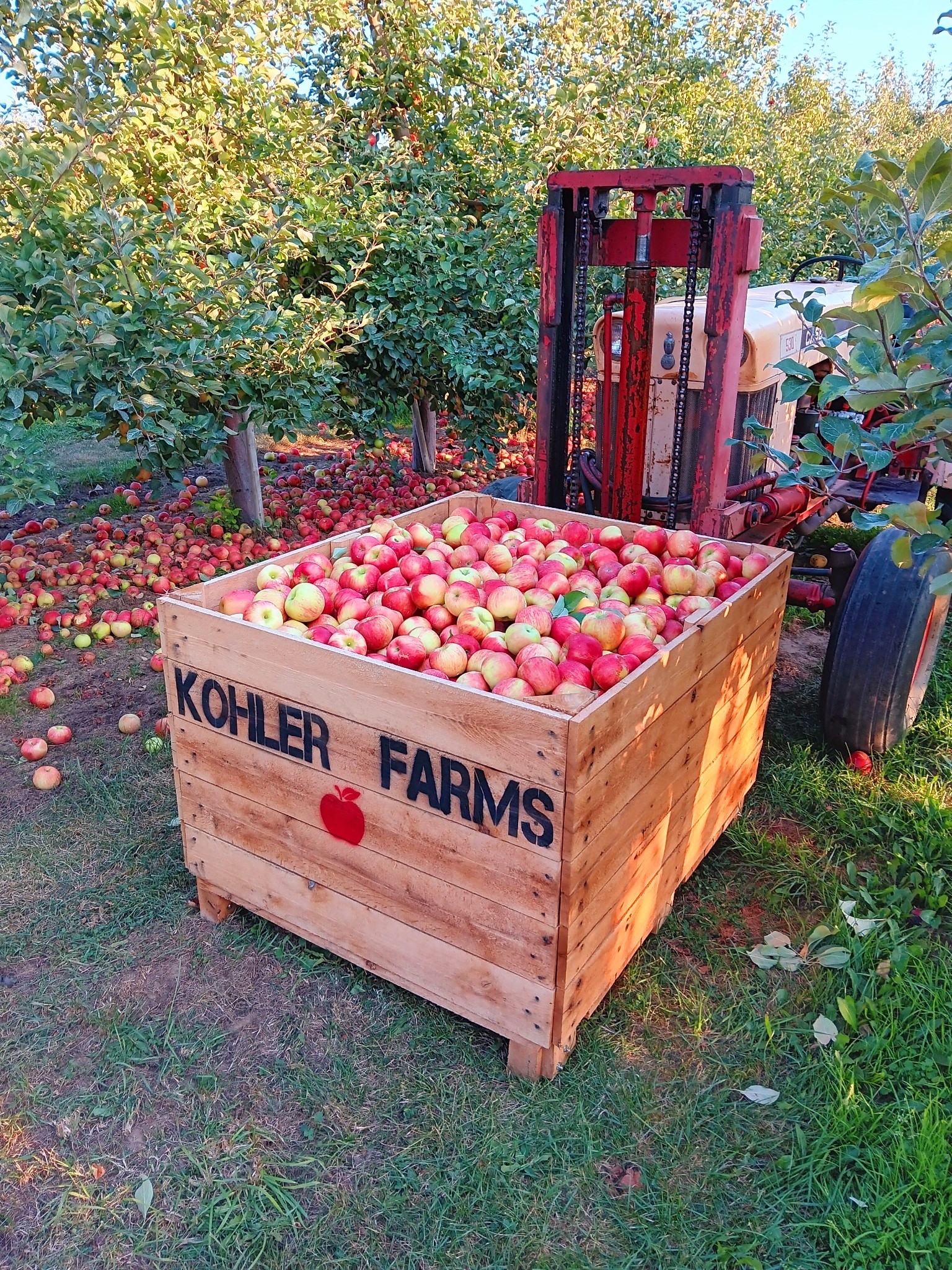 Kohler Strawberry Farm added a... - Kohler Strawberry Farm