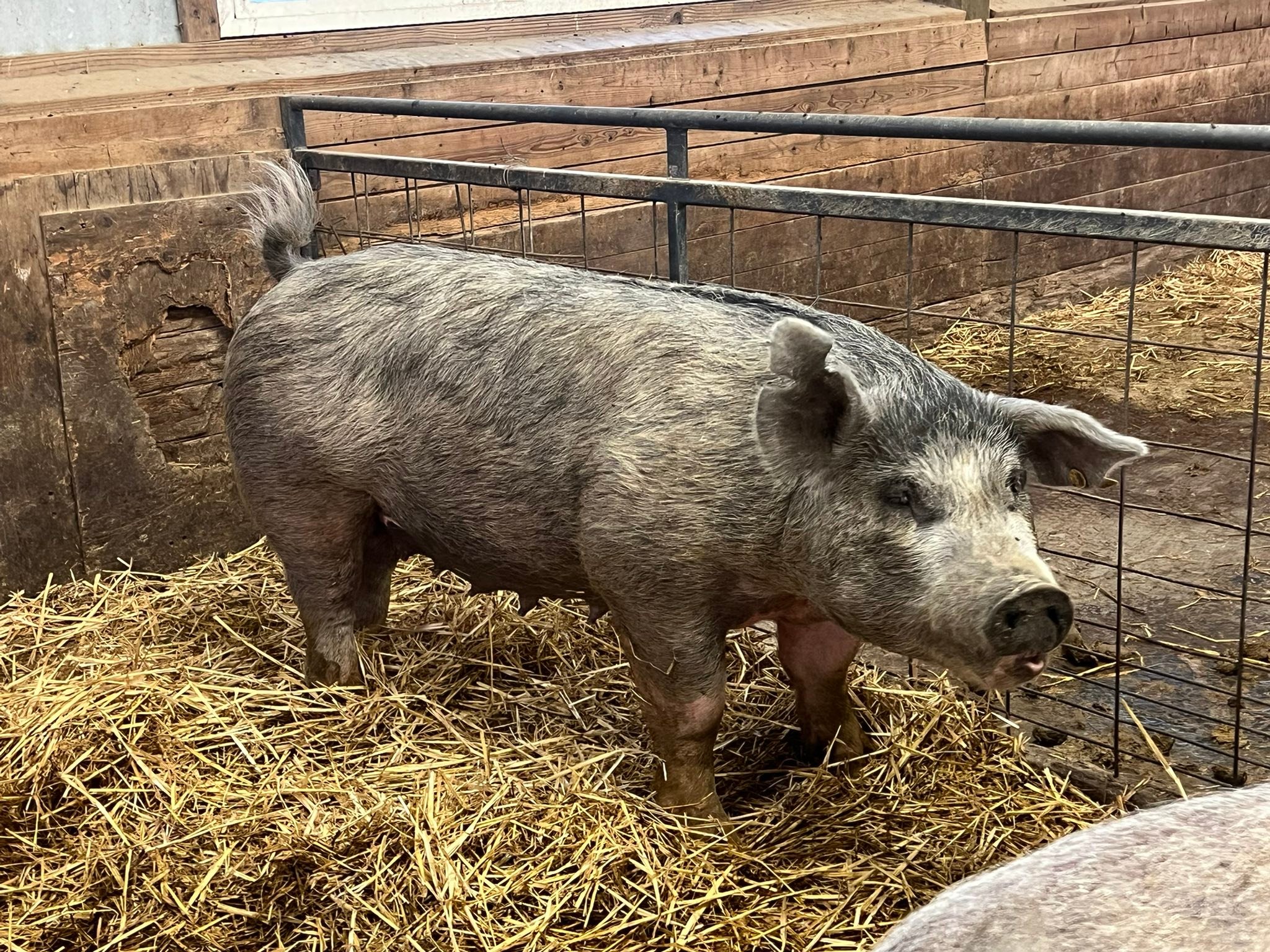 G Bar S Ranch | Forest Grove OR