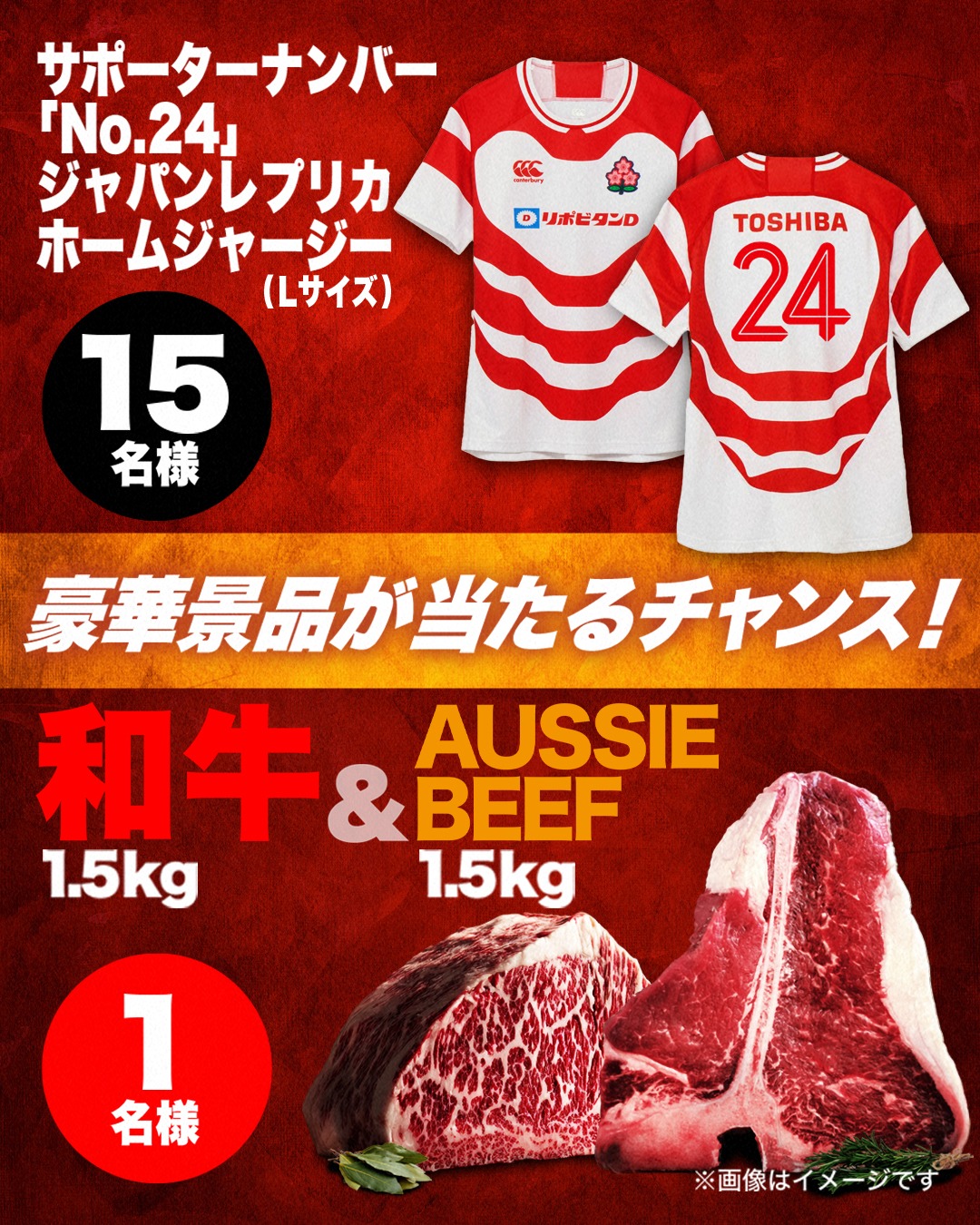 リポビタンDチャレンジカップ2025🏉 応援キャンペーン実施中🇯🇵 ＼ 背