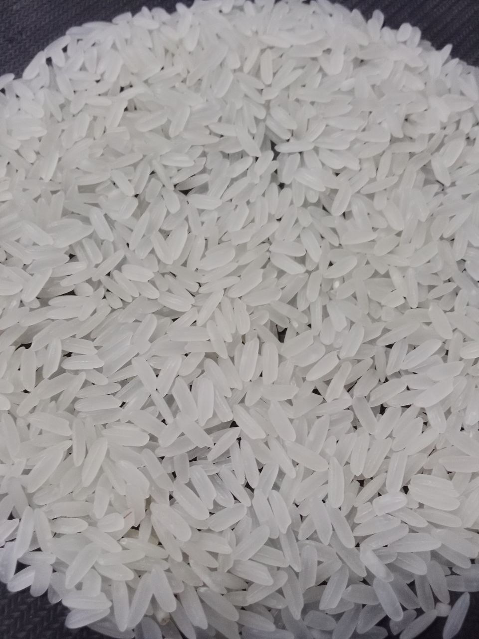 Bright Rice Cambodia | Phnom Penh