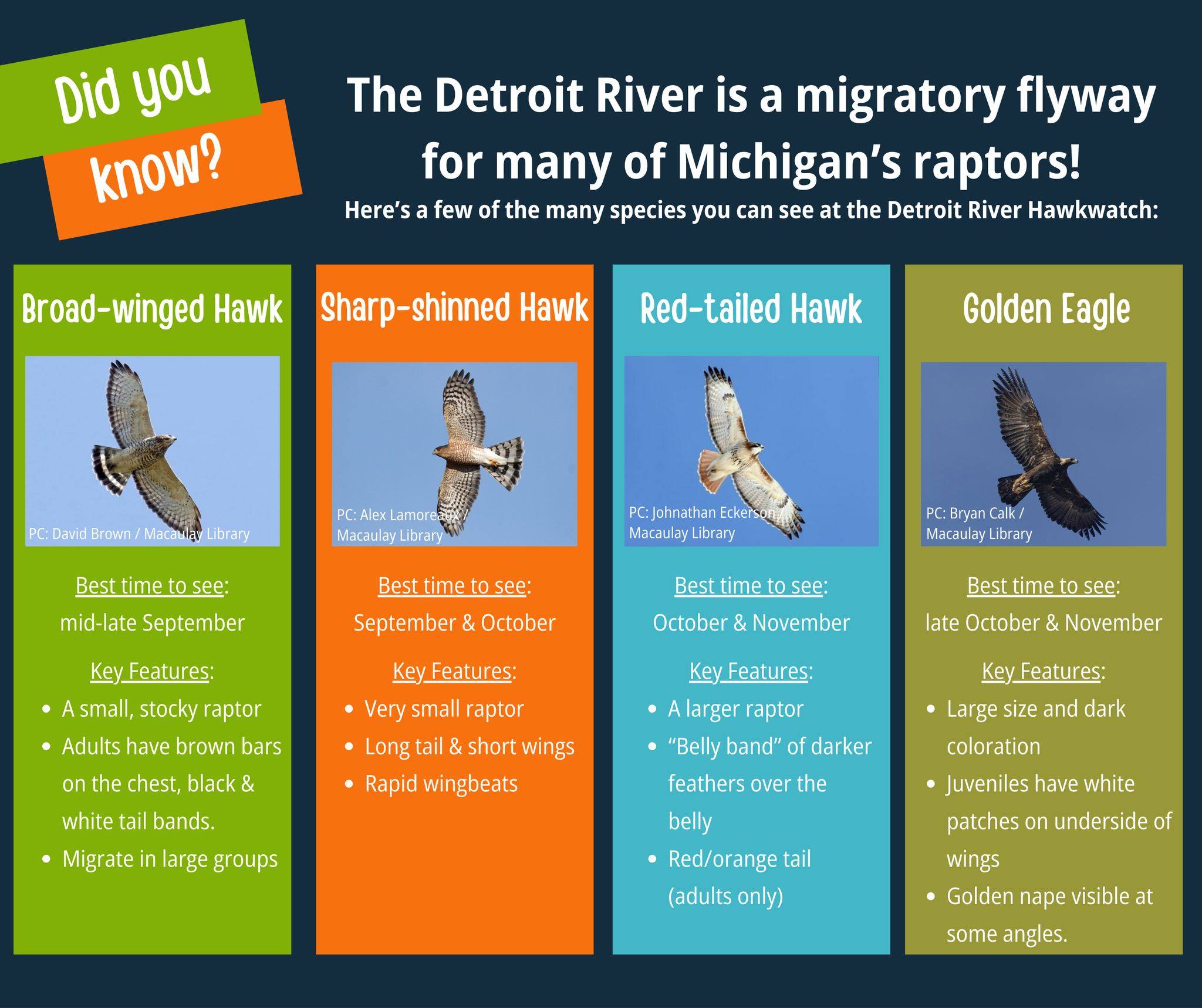 The Detroit River is a... - DNR Outdoor Adventure Center | Facebook