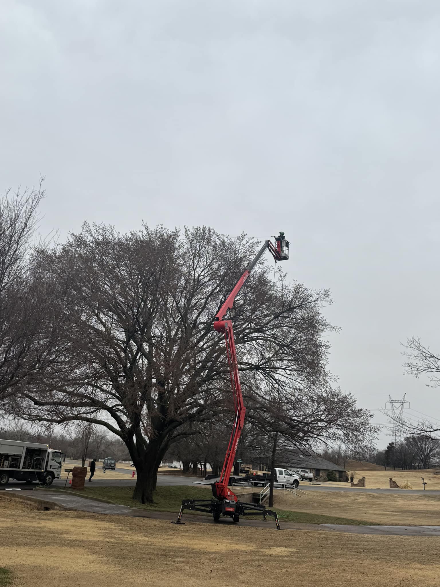 Arbor Image Tree Care | Oklahoma City OK