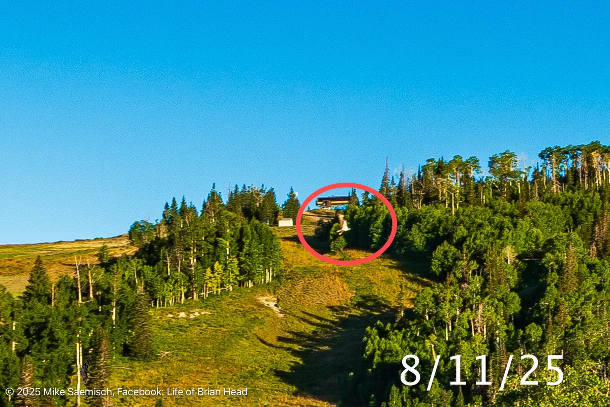 Life - Early risers might see our local osprey pick up a meal to-go at ...