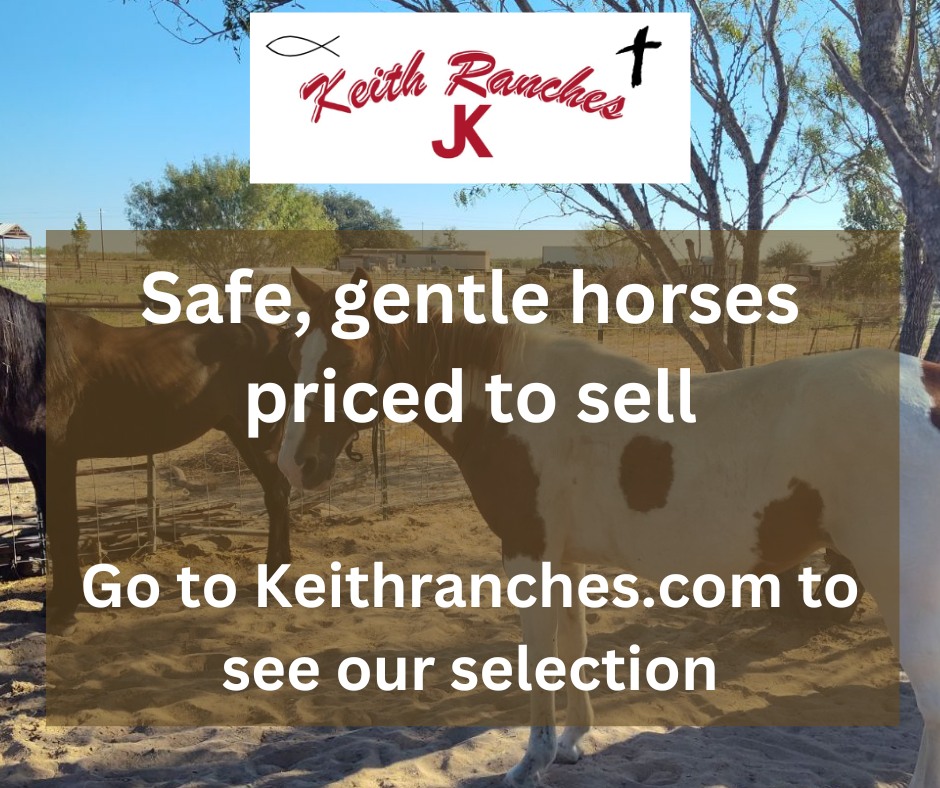 Keith Ranches Horses For Sale | Devine TX