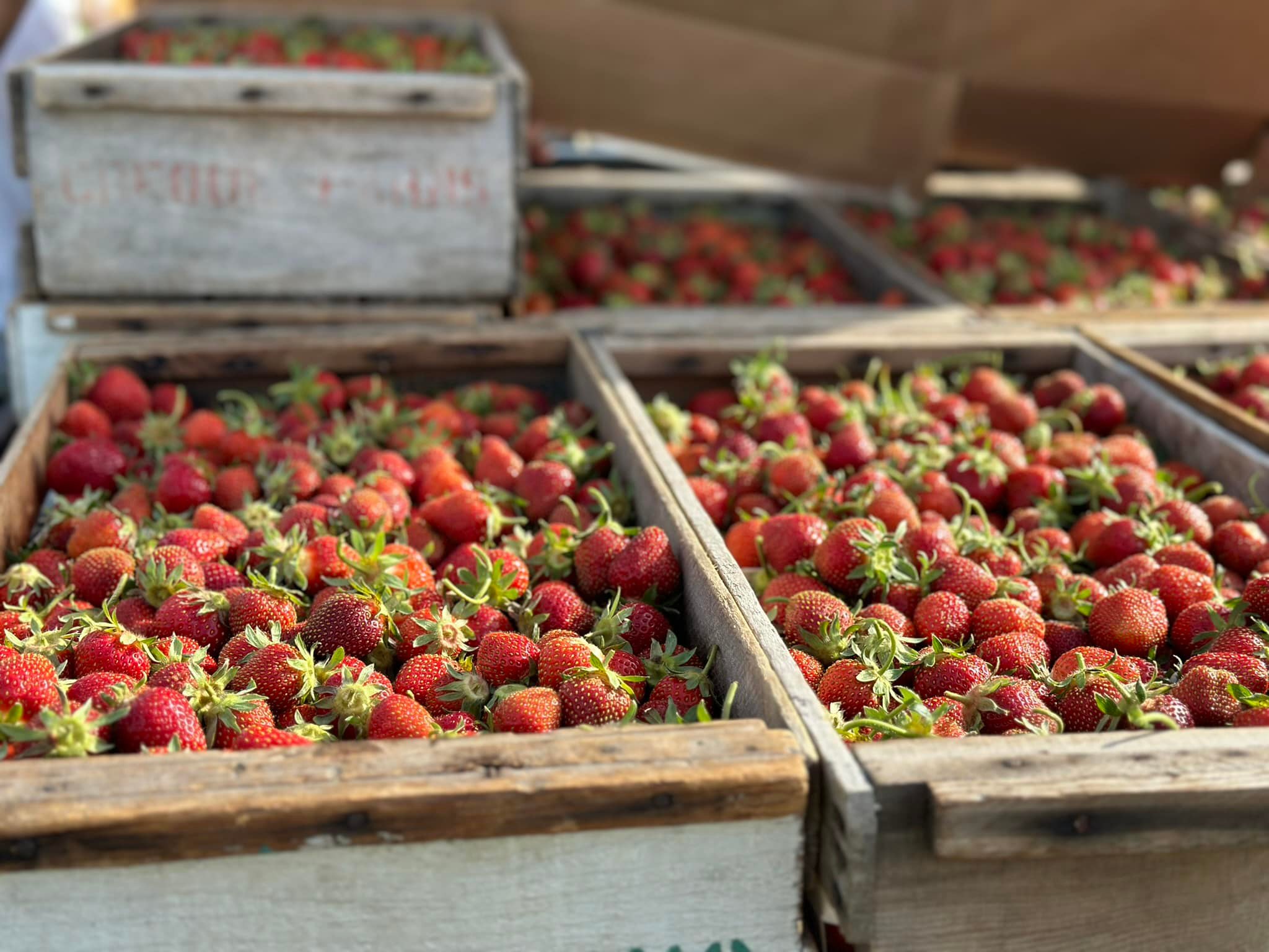 Creque's... - Creque's Greenhouse and Produce Stand