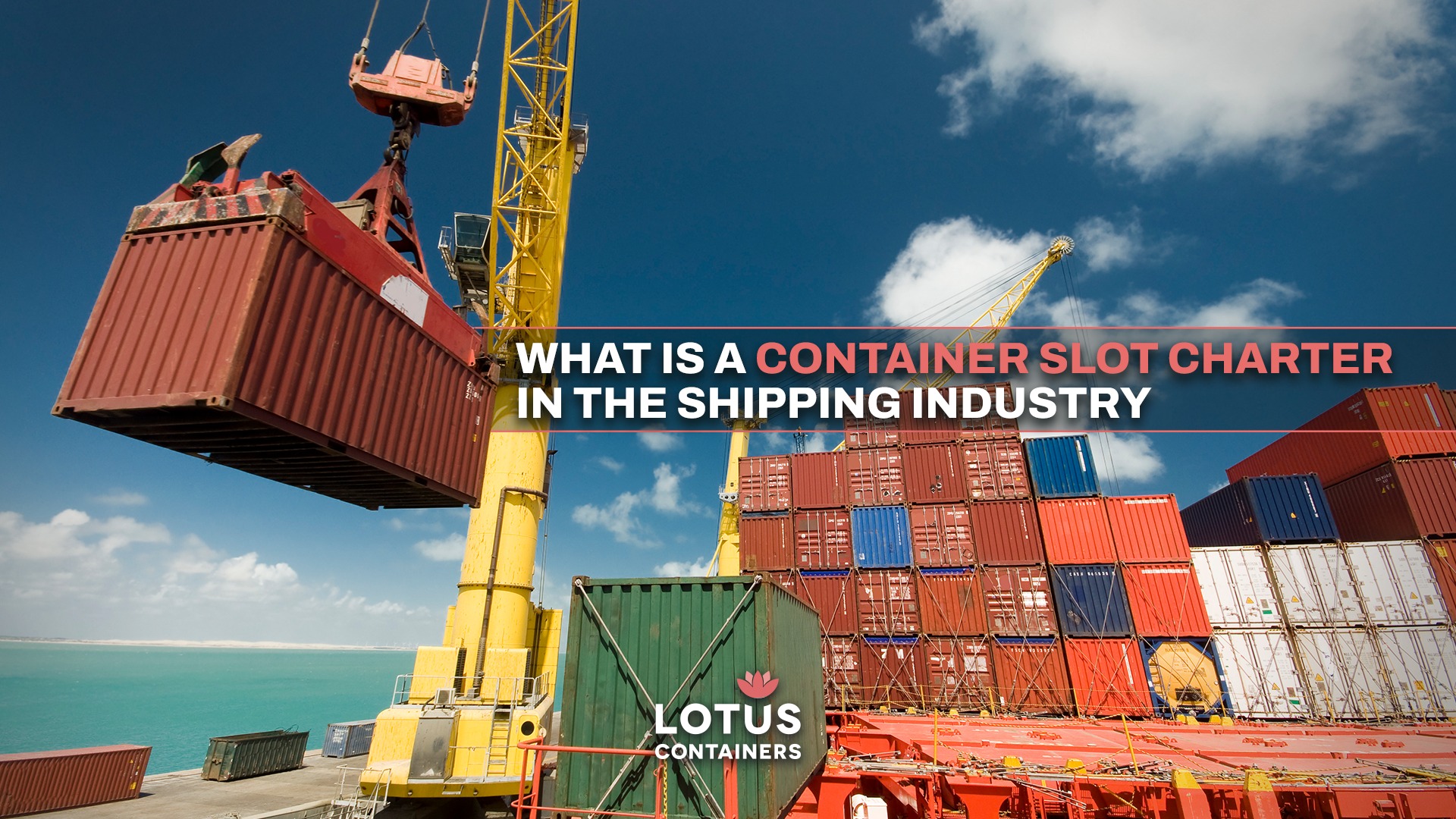 LOTUS Containers | Egestorf