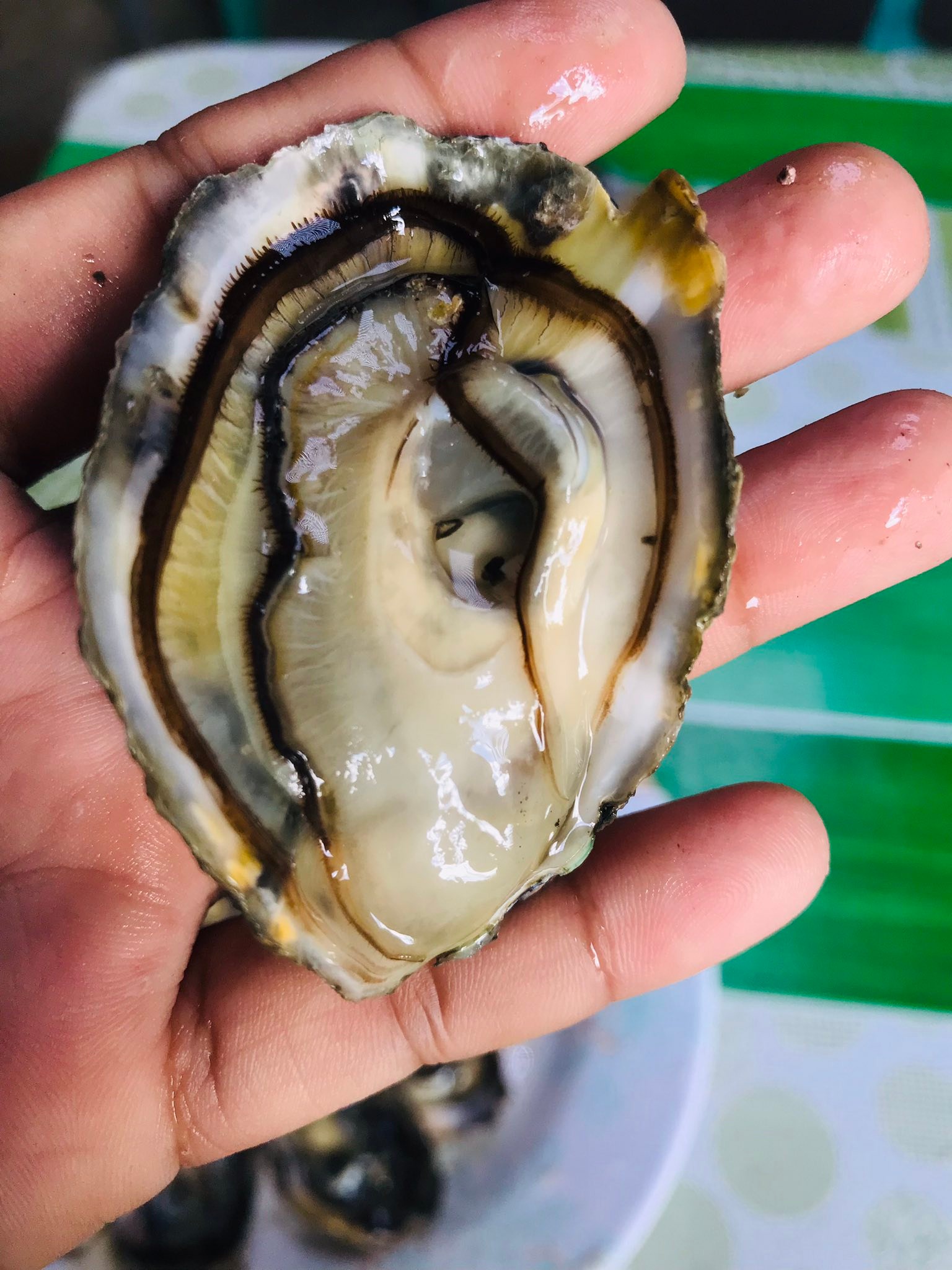 ANA'S Fresh Talaba and Seafoods