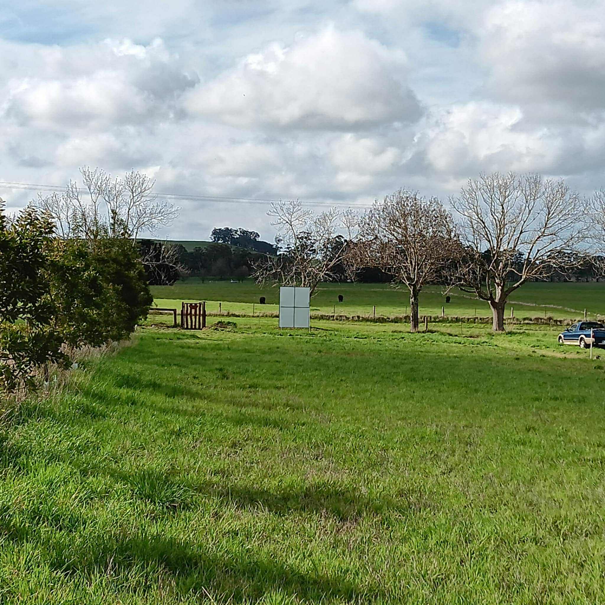 Global Tree Initiative Australia | Melbourne VIC