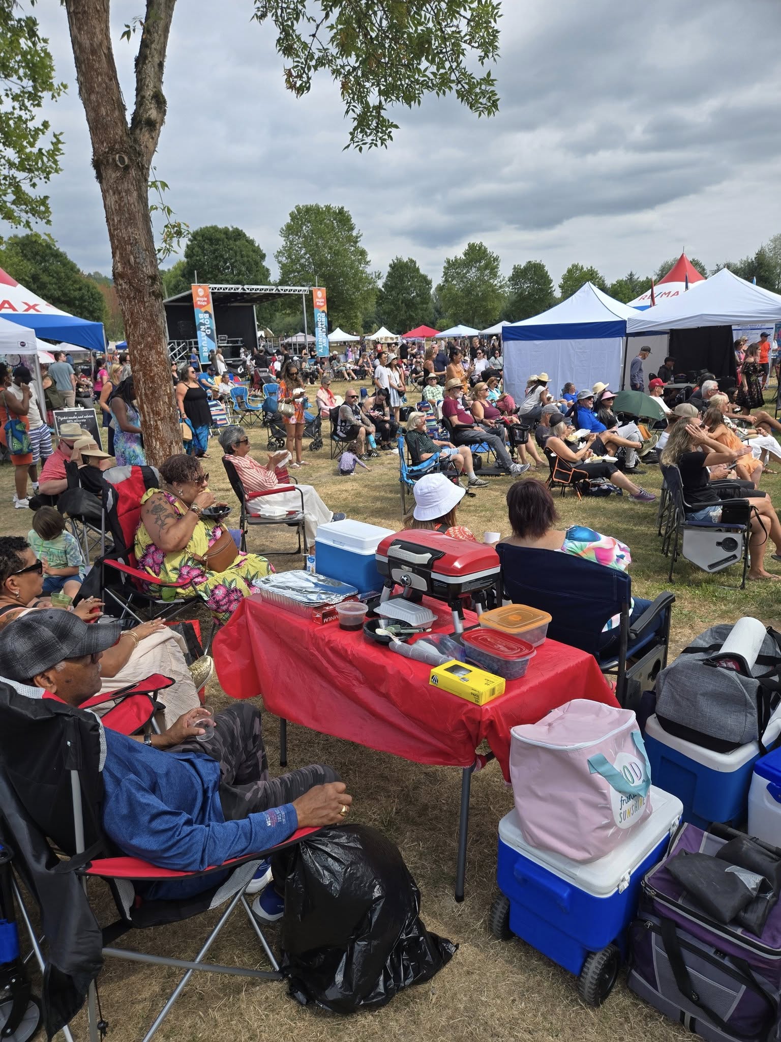 Maple Ridge Caribbean Festival | Maple Ridge BC