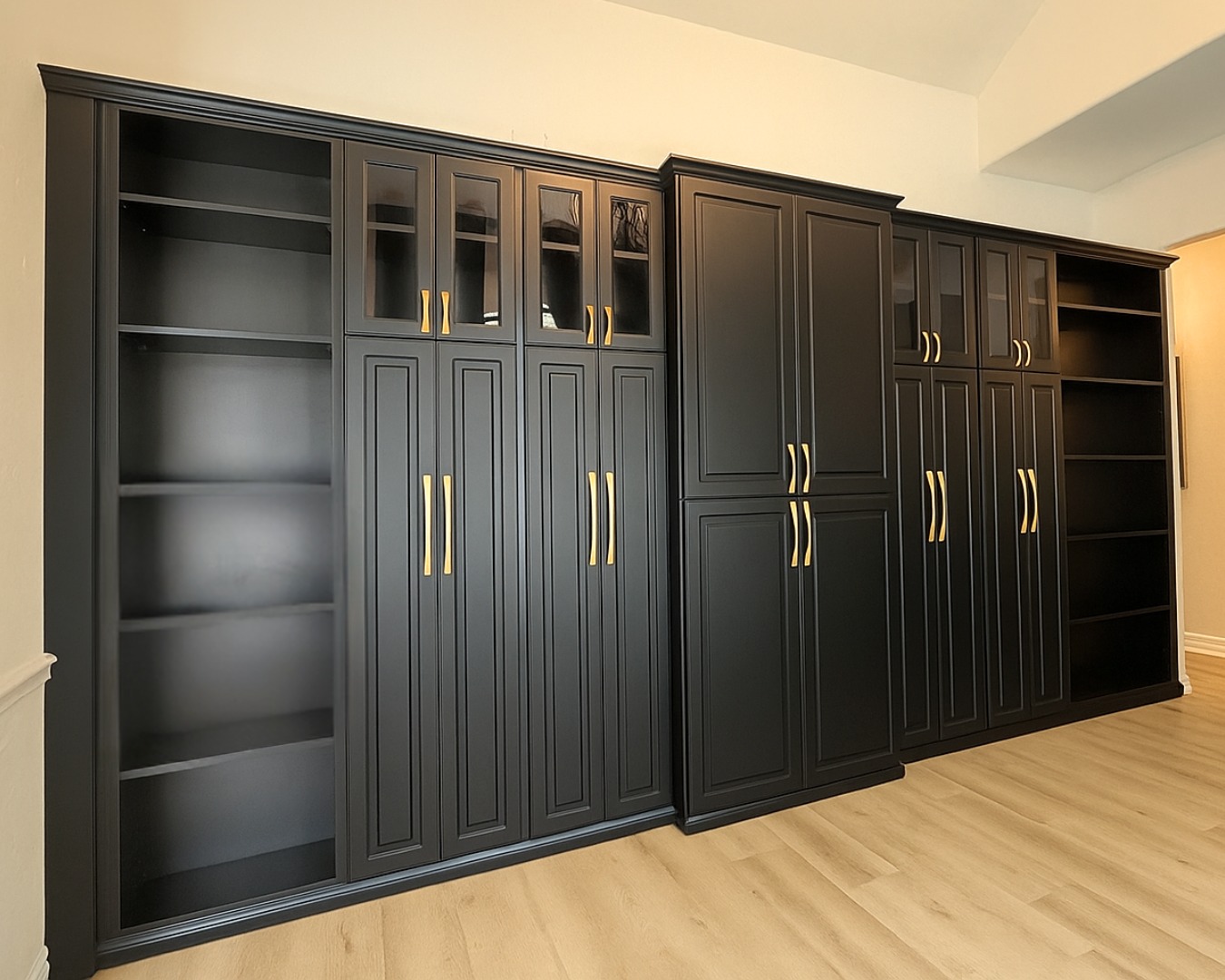 A dark, dramatic beauty 😍 This... - Closets By Design | Facebook