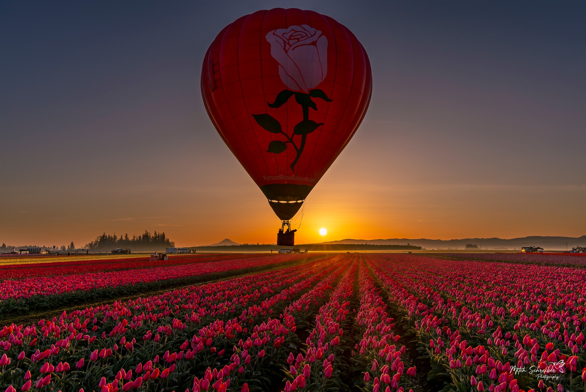 Only a handful more stunning Summer Flowers sunrises with Portland