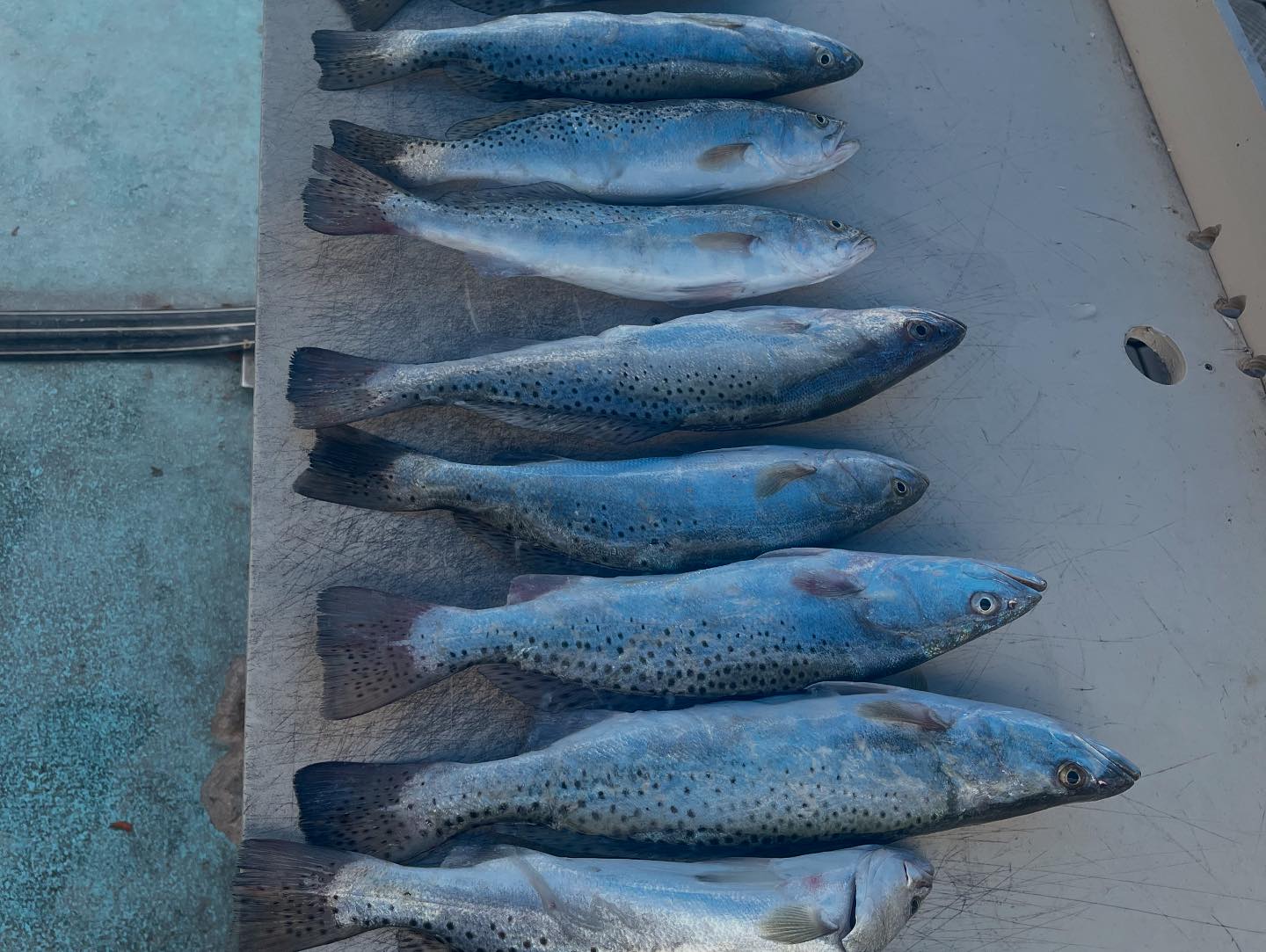 Ankle Deep Fishing... - Ankle Deep Fishing Adventures